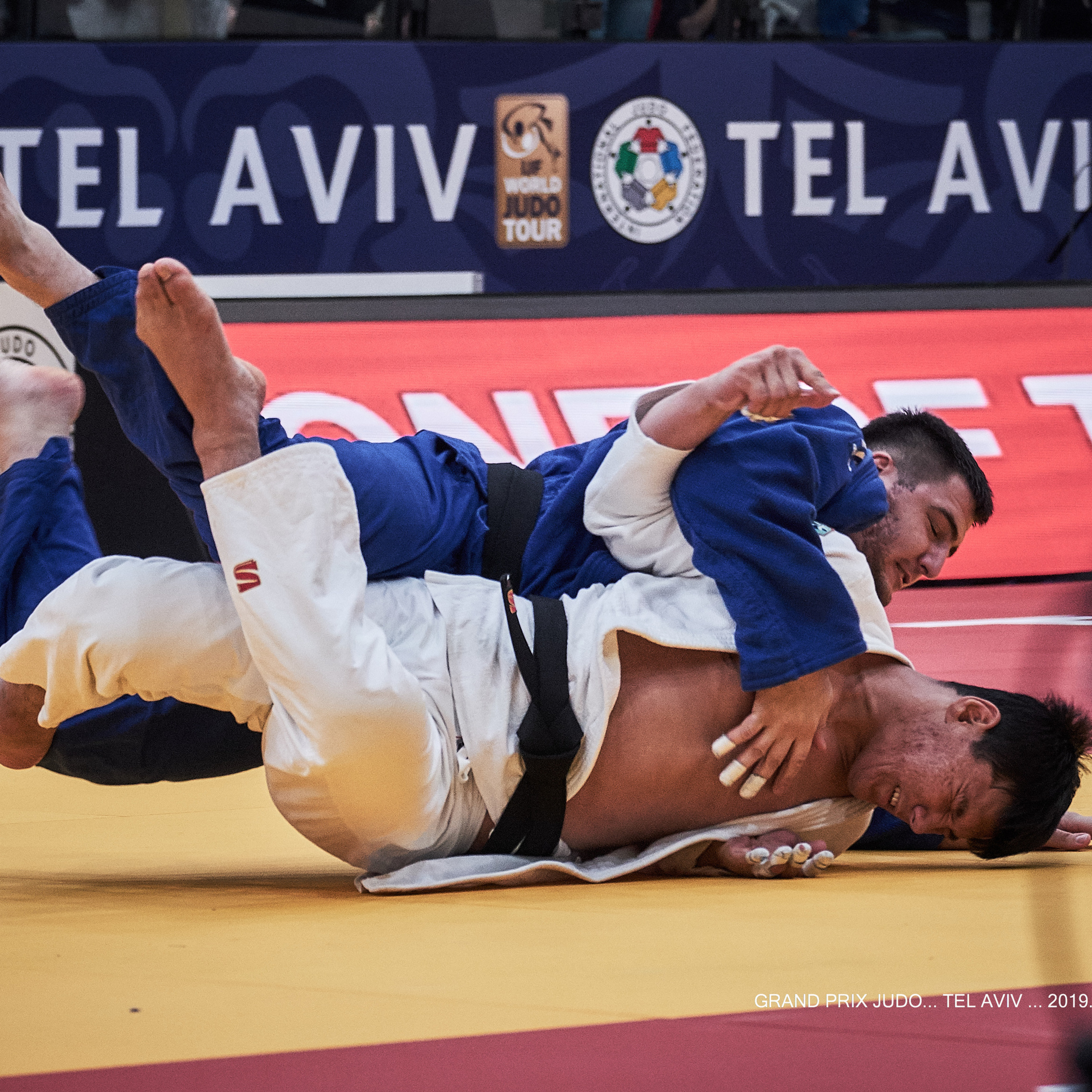 Grand Prix Judo