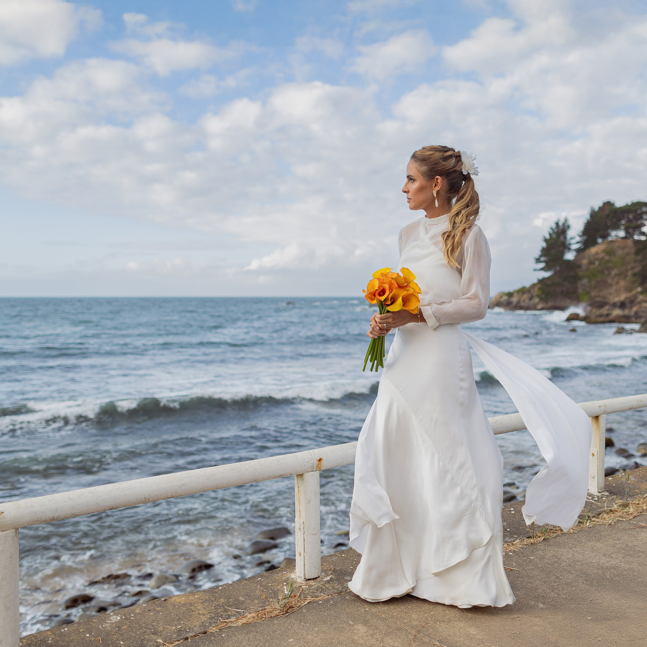 Alvaro Arriagada Fotografía