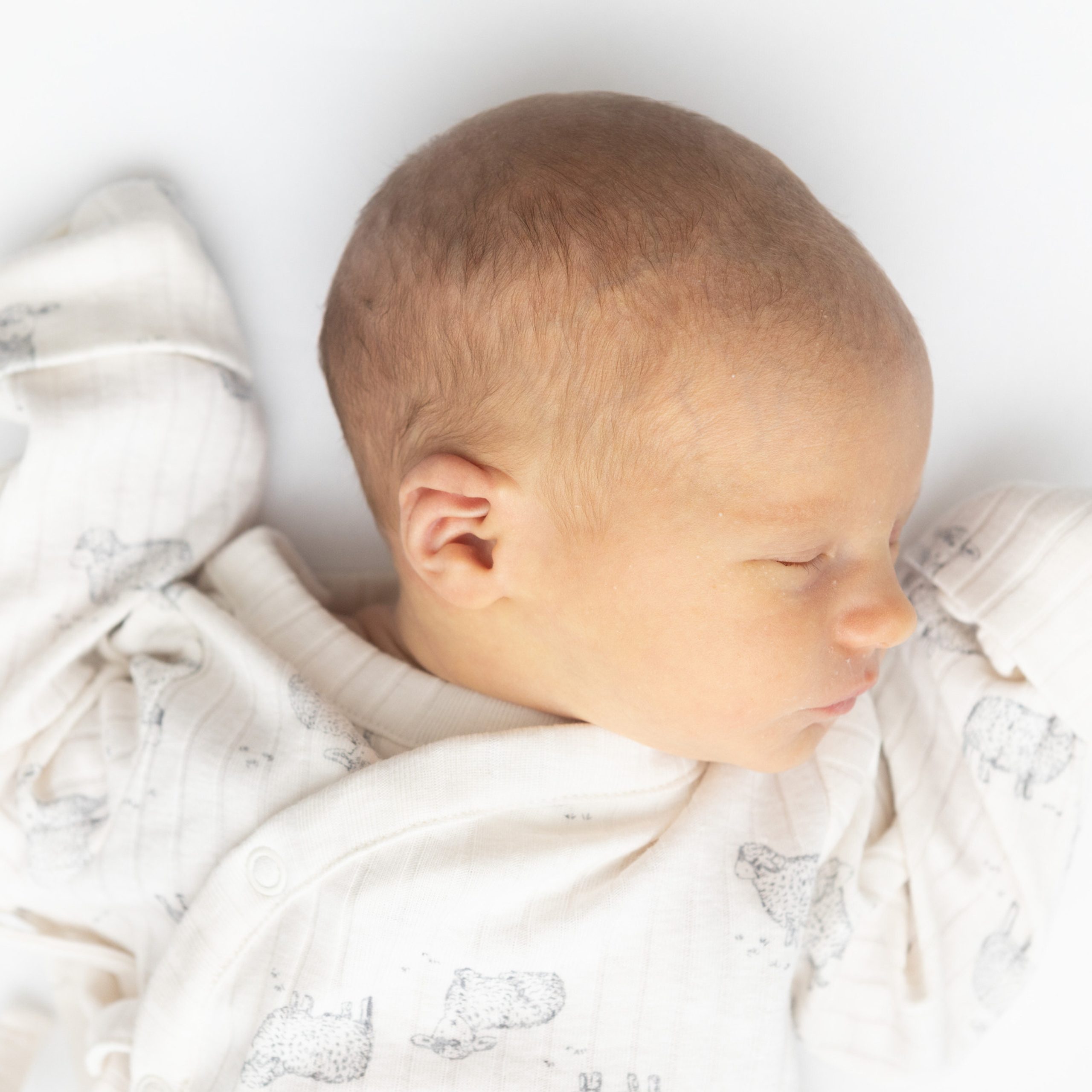 Comments. Art photography. Events. Family photo