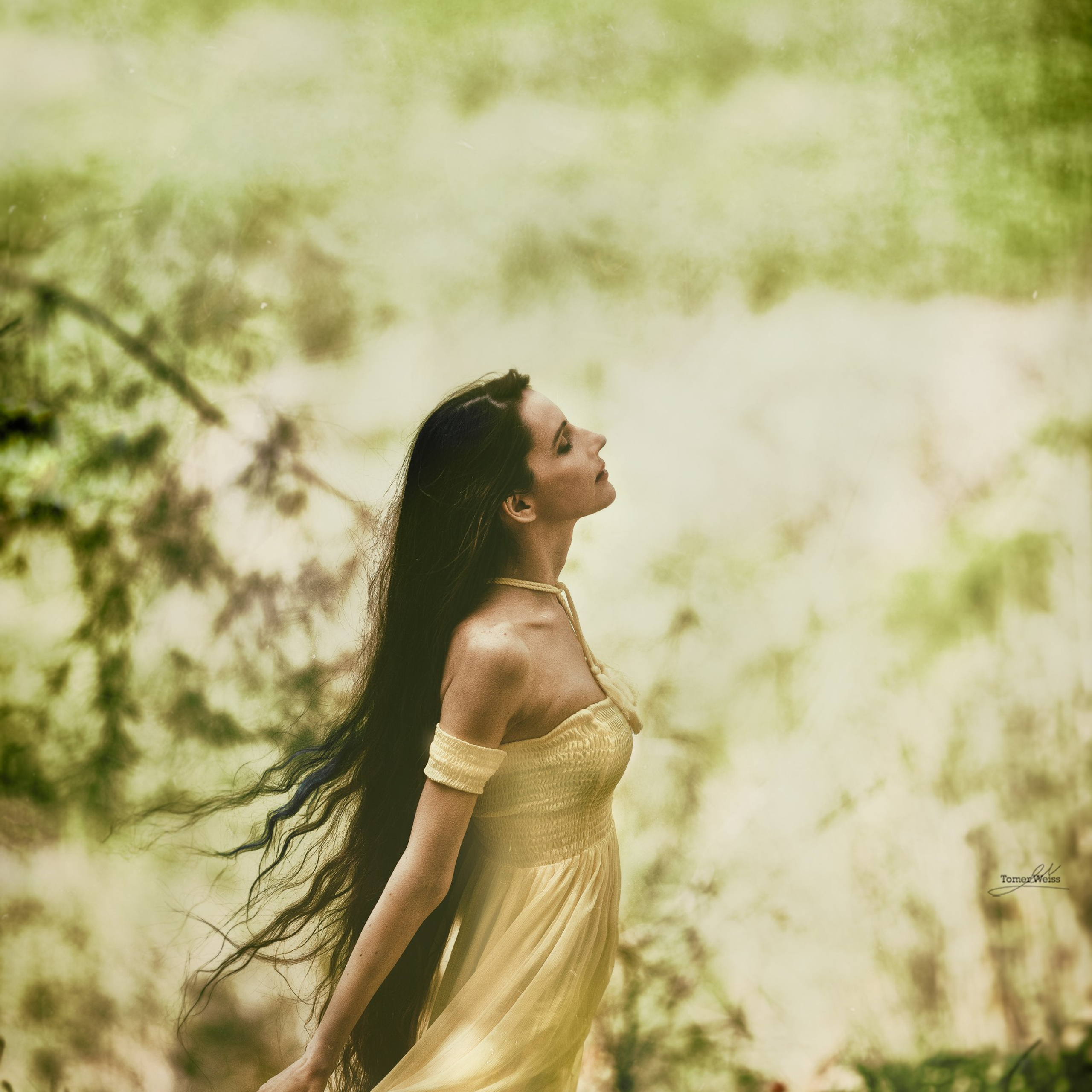 Tomer Weiss Fine Art Photography