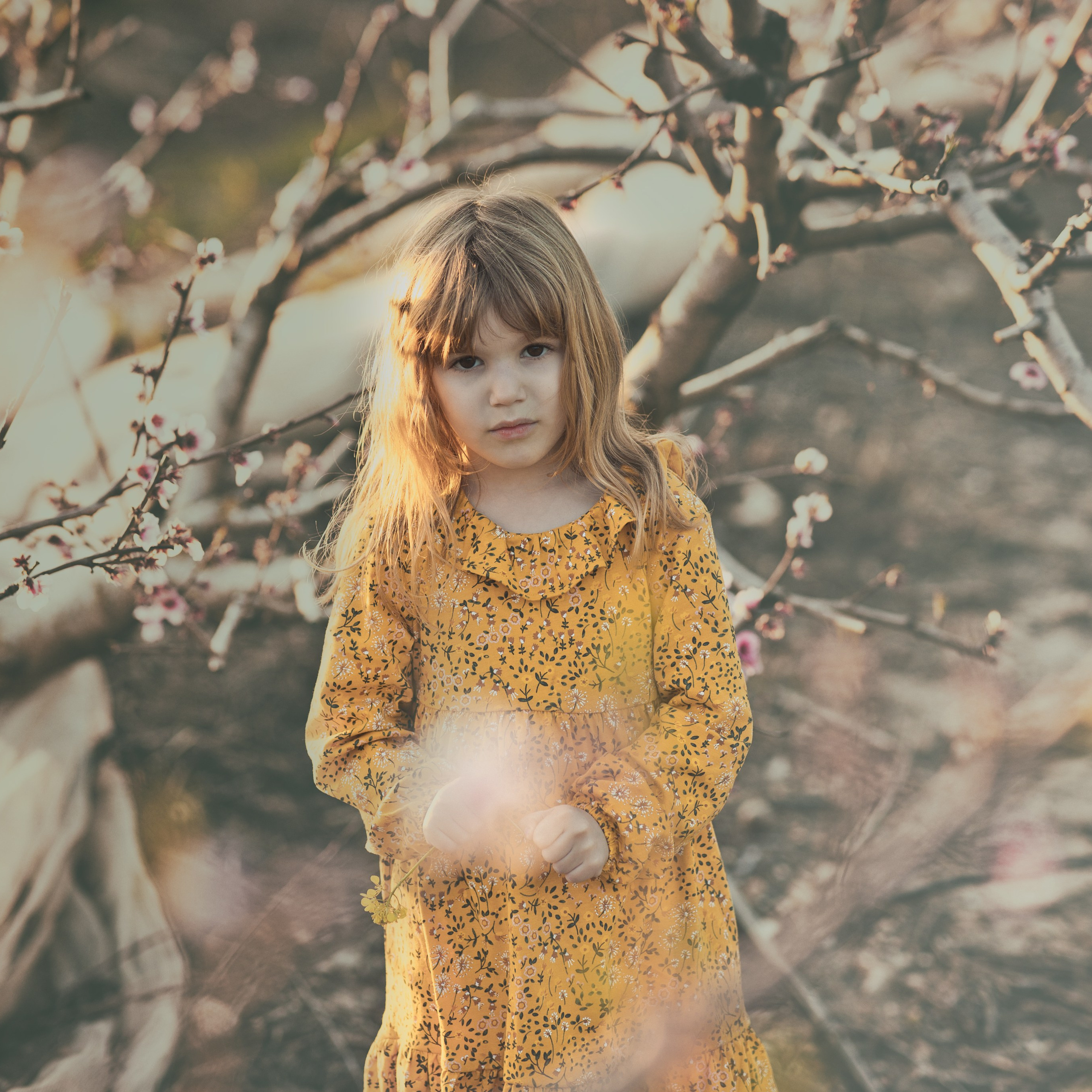 Tomer Weiss Fine Art Photography