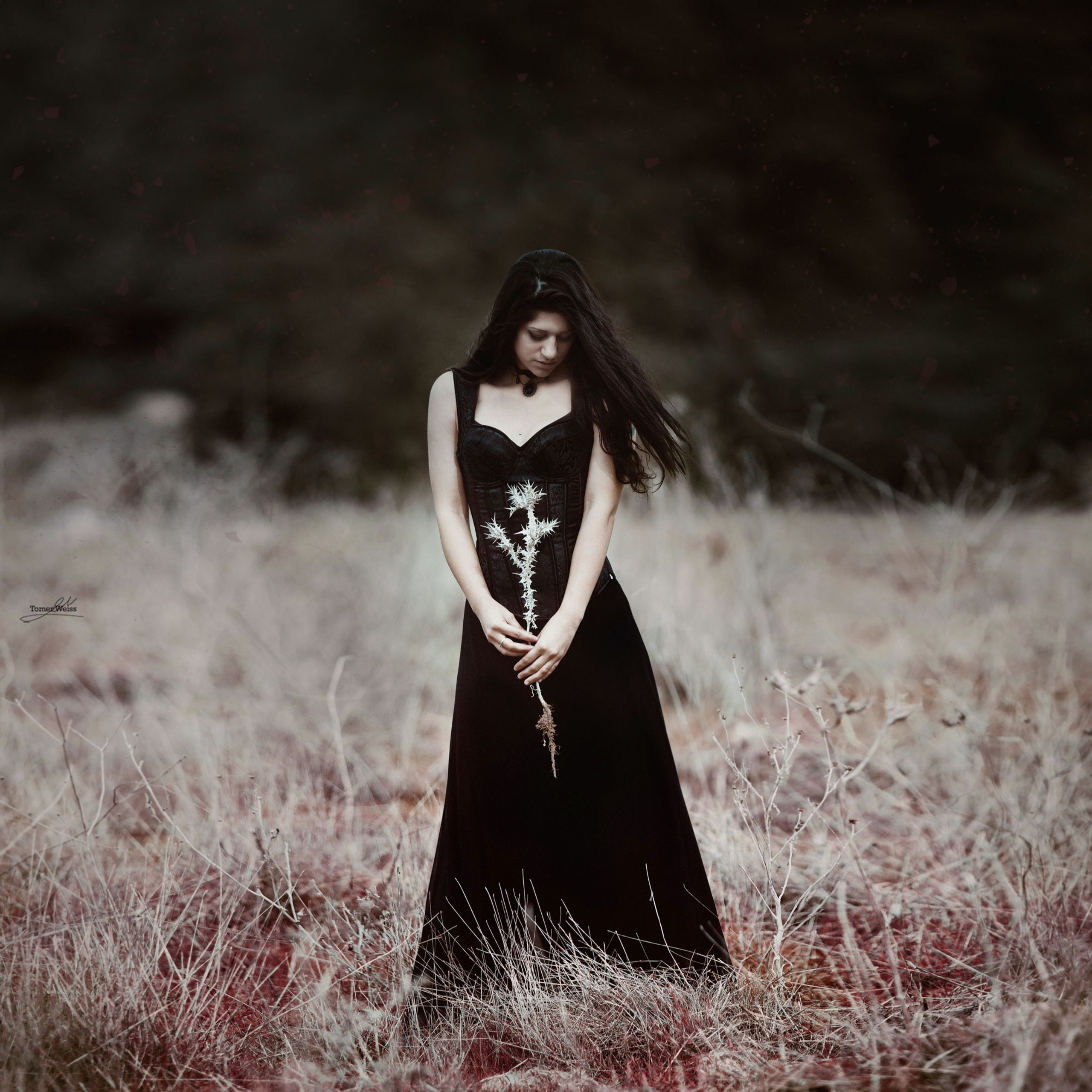 Tomer Weiss Fine Art Photography