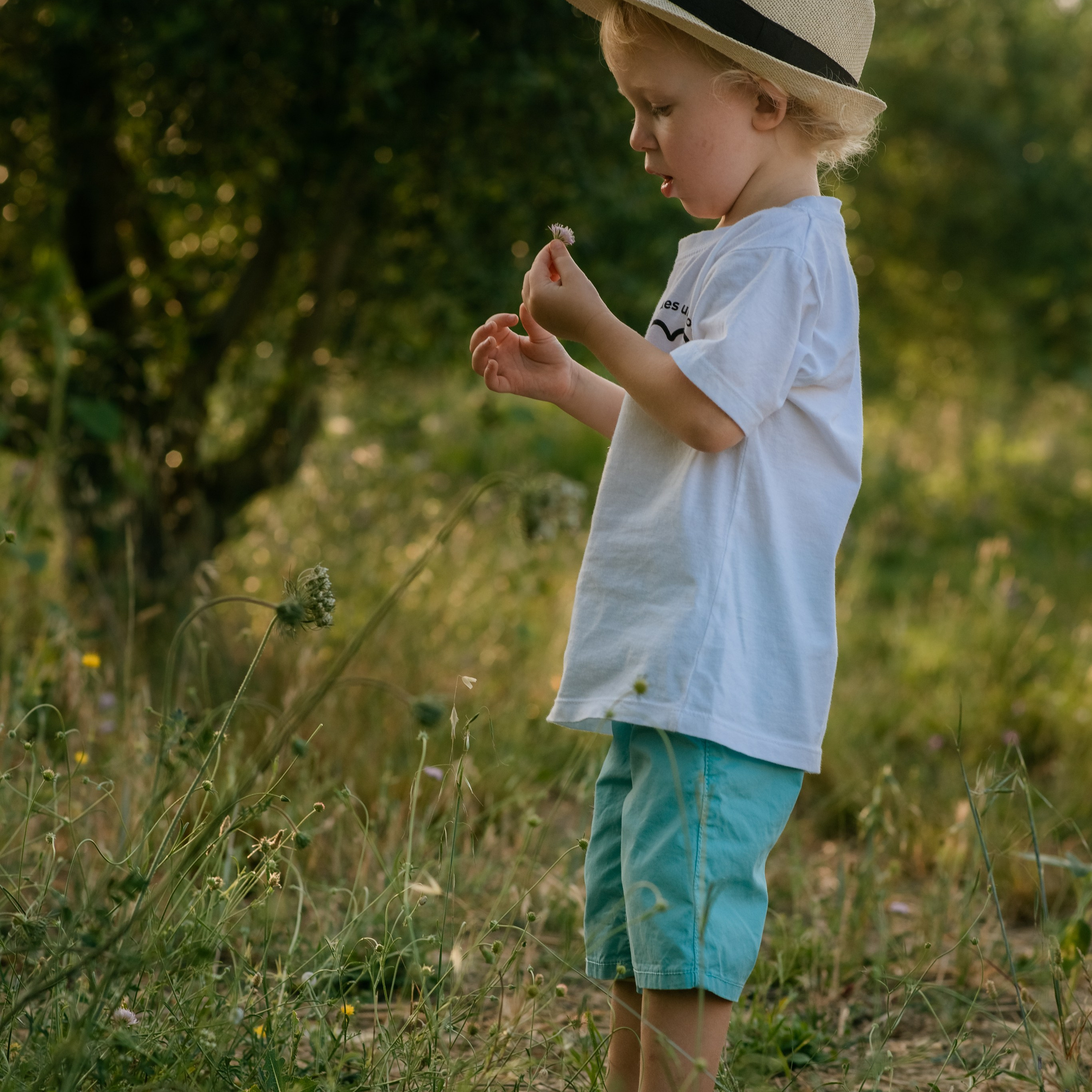Отзывы. Свадебный и семейный фотограф в Марселе и Провансе. Elvira Tabisheva