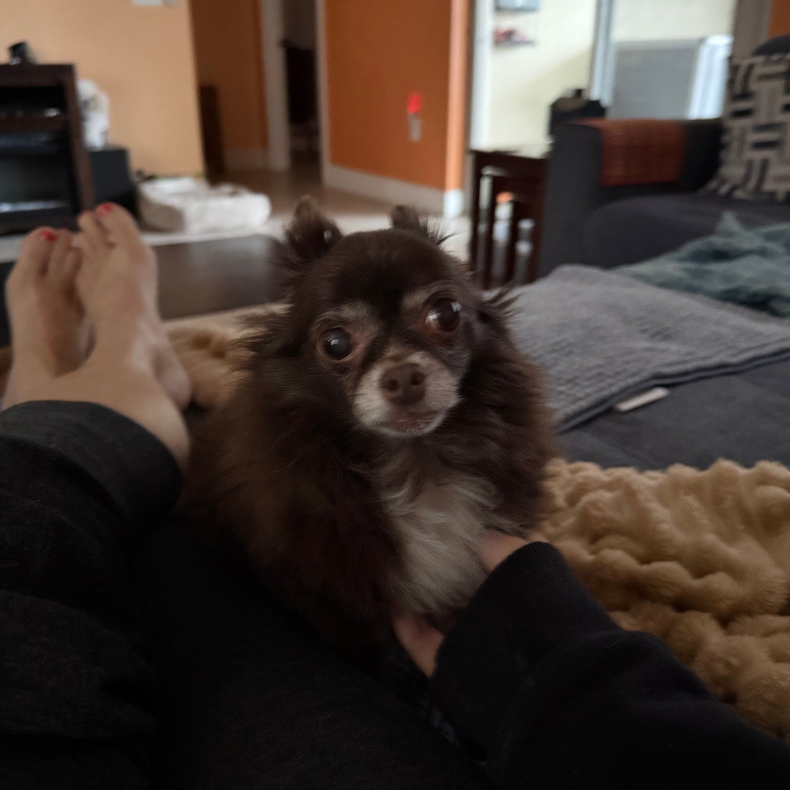 Testimonials. Doggie Stylz Pet Salon