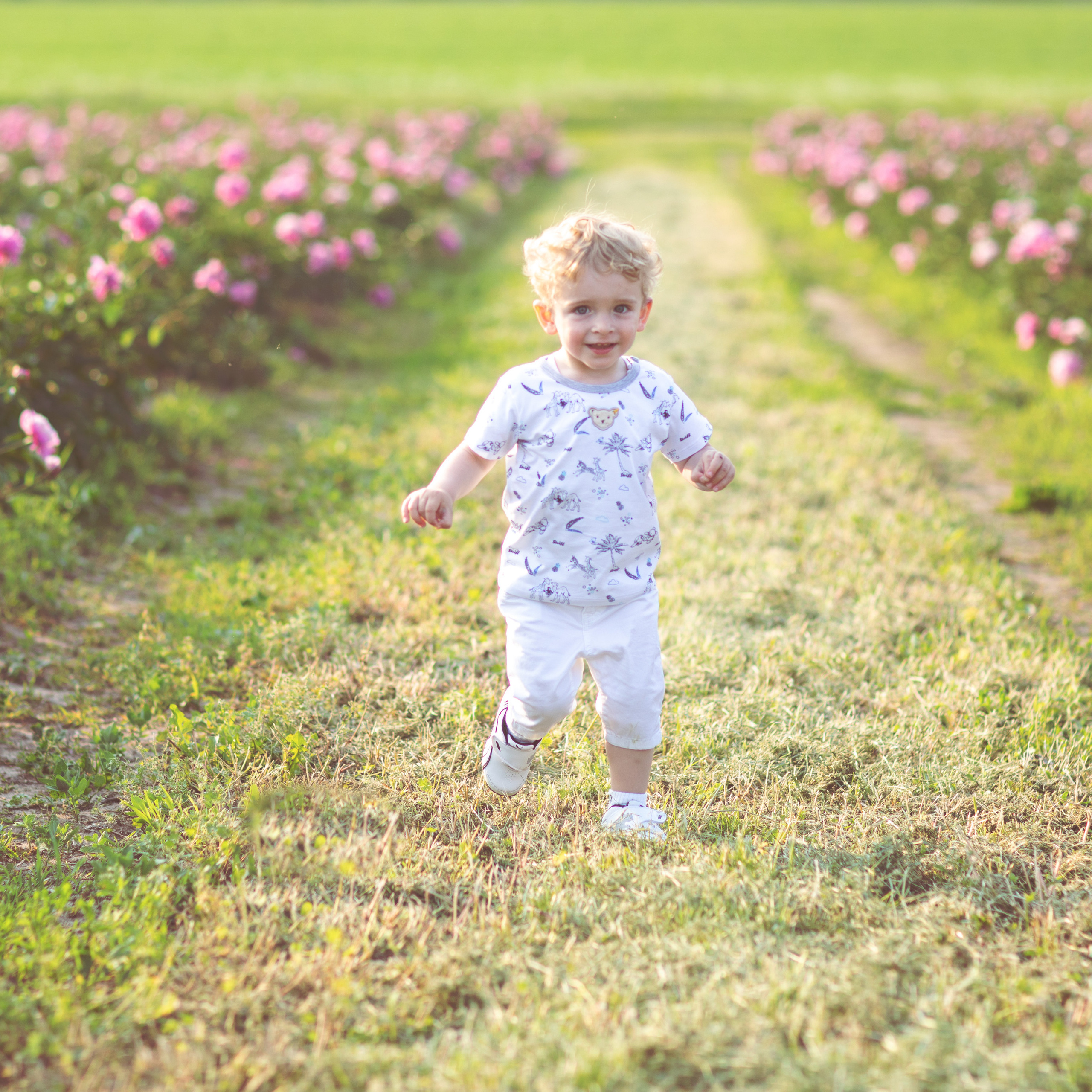 Referenzen. Ihre Familienfotografin in Köln/Bonn Virezzi Fotodesign