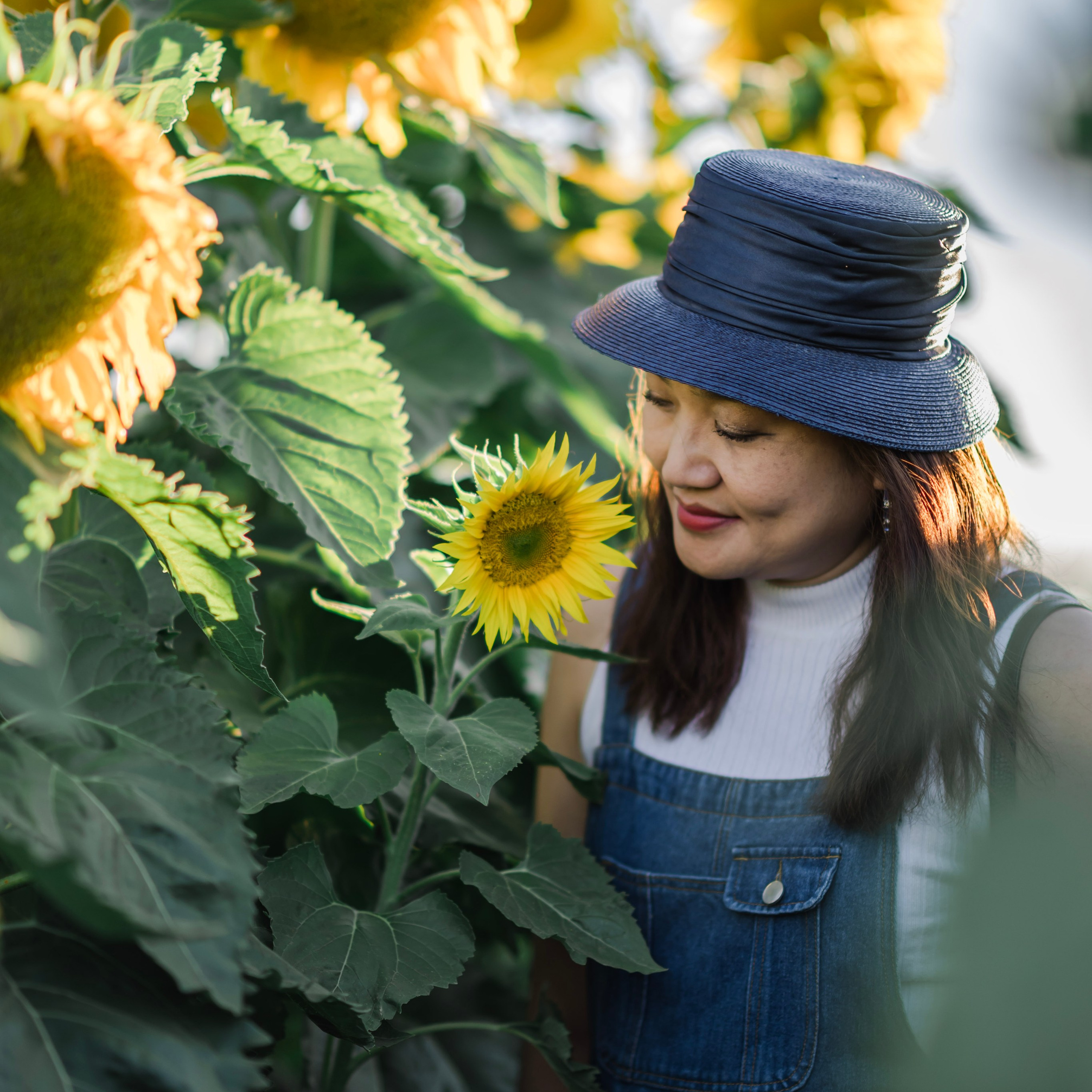 Bernice @ Sunflower Fields Sunset