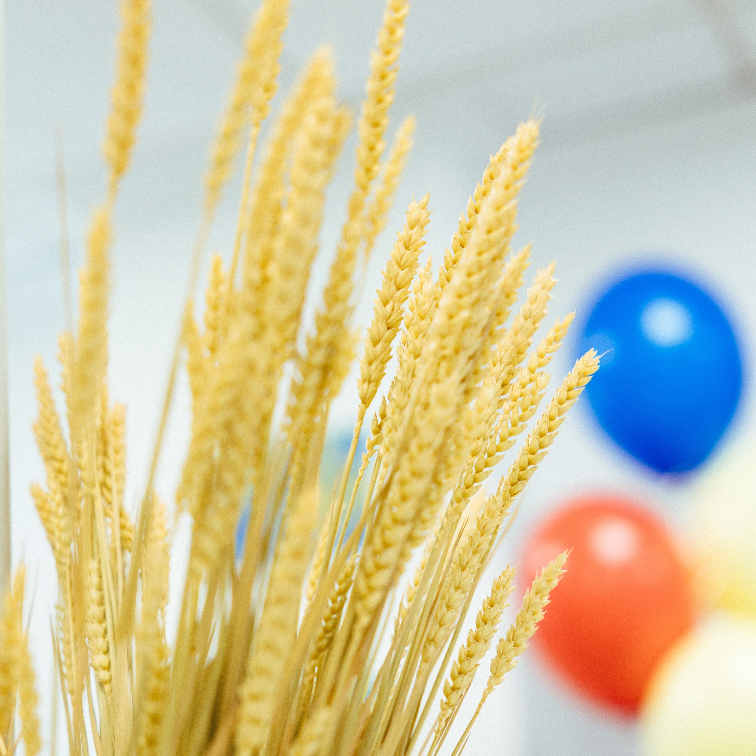 Отзывы. Фотограф Станислав Гуськов. Гуськов Станислав — Фотограф Барселона | Валенсия | Испания | Европа