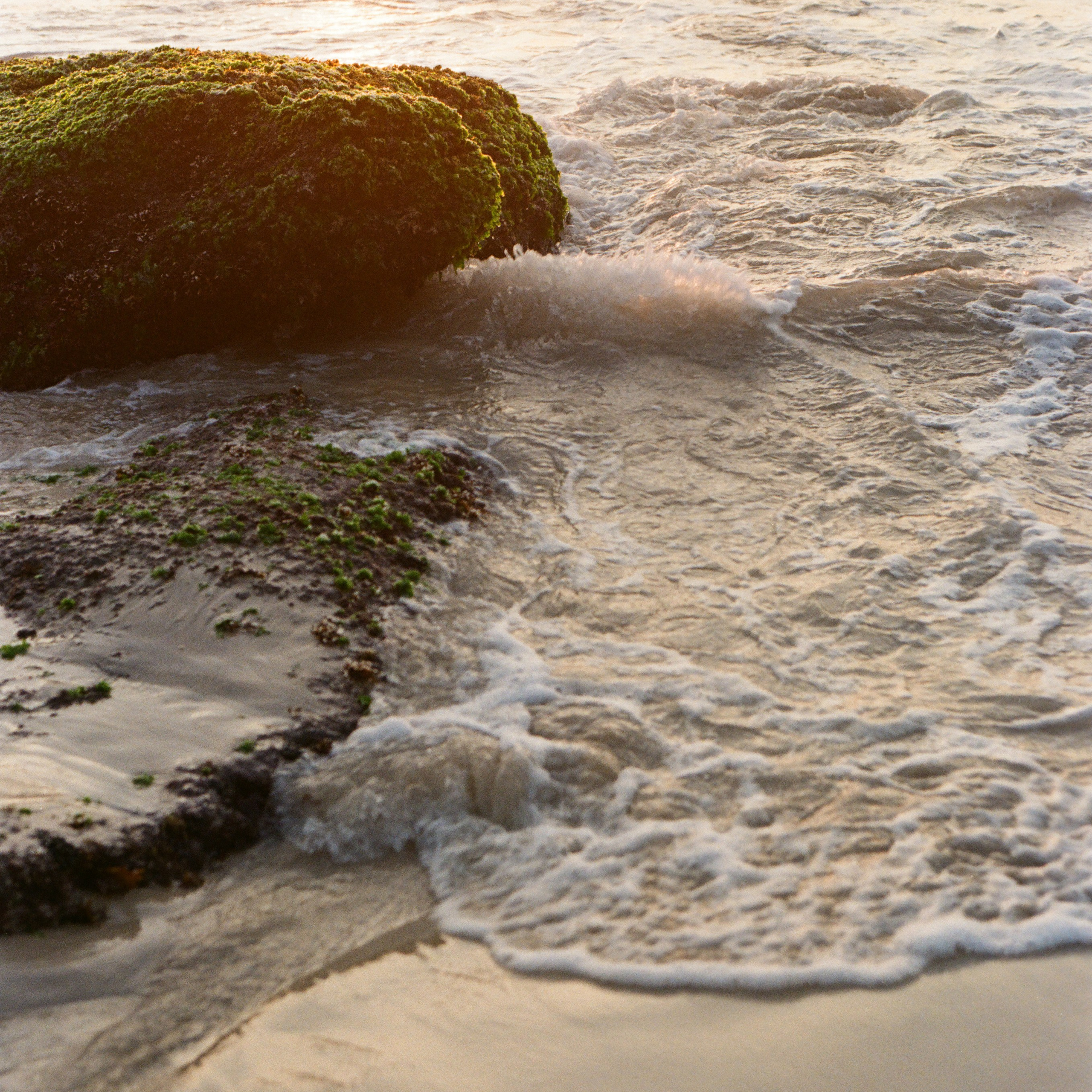 Mickhaela. Фотограф/ индивидуальные съемки, бренды, lovestory