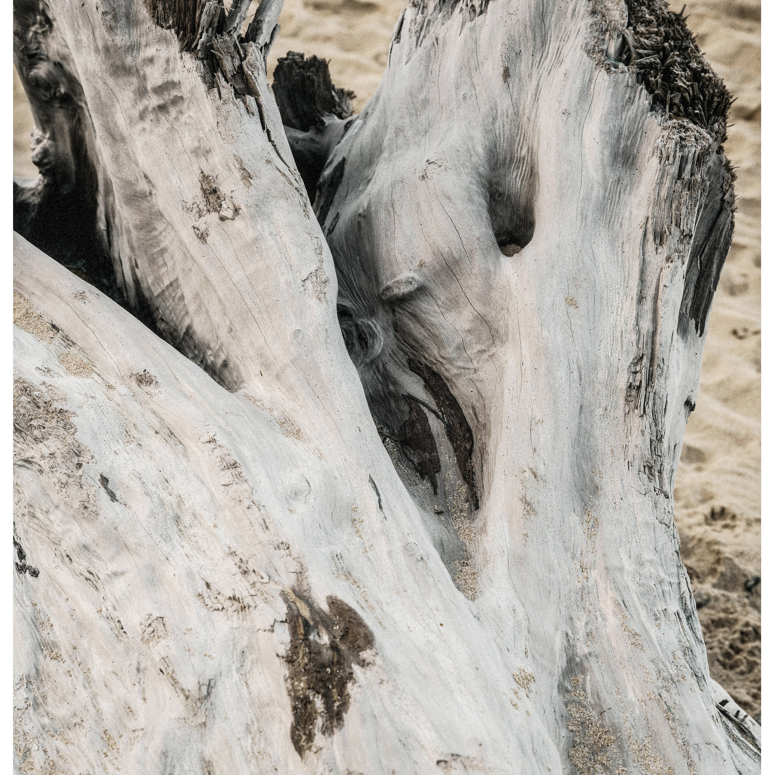 Alexandra. Фотограф/ индивидуальные съемки, бренды, lovestory