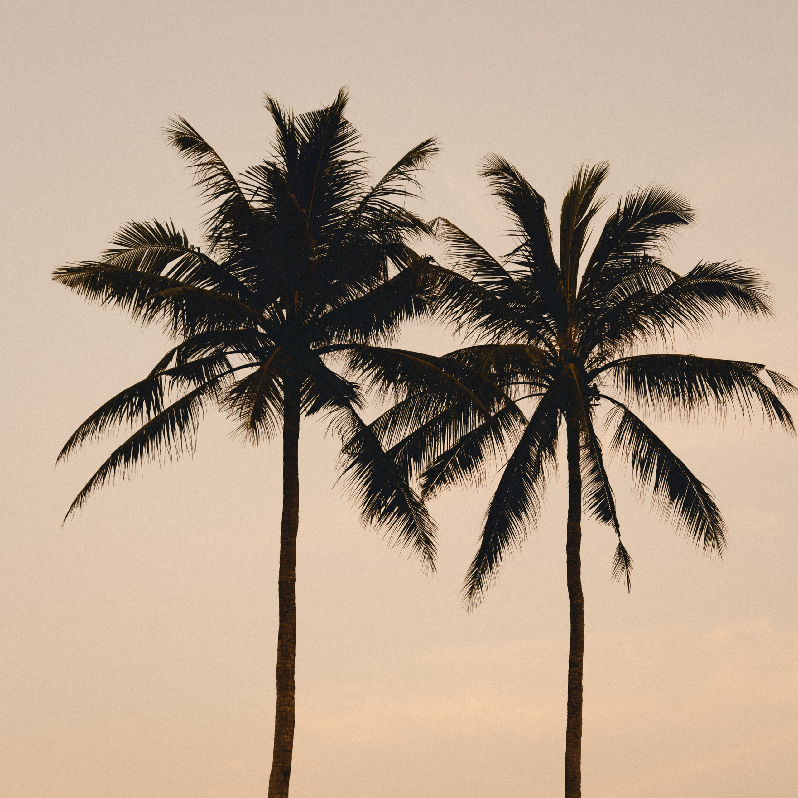 Love Story — client. Фотограф/ индивидуальные съемки, бренды, lovestory