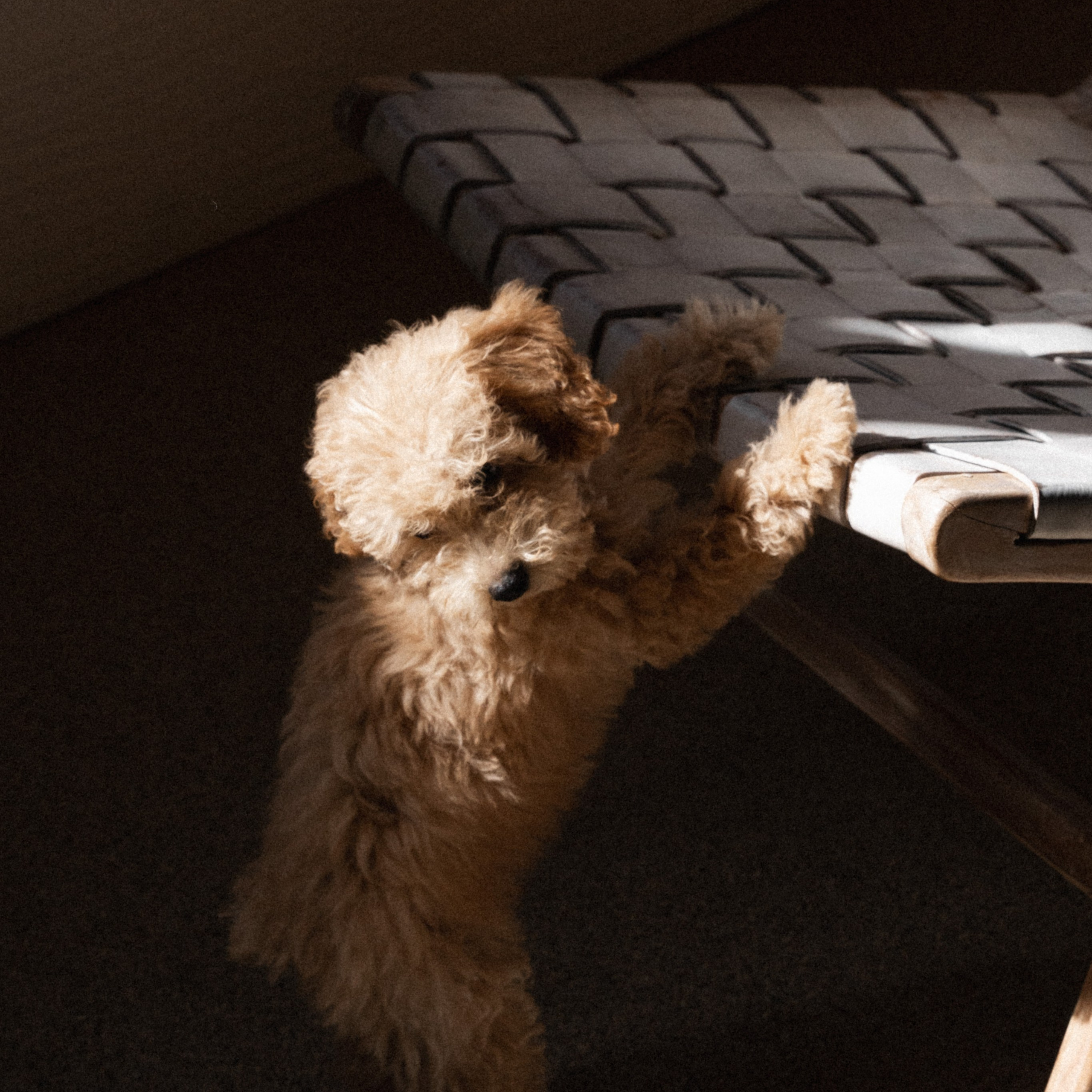 Kristina. Фотограф/ индивидуальные съемки, бренды, lovestory