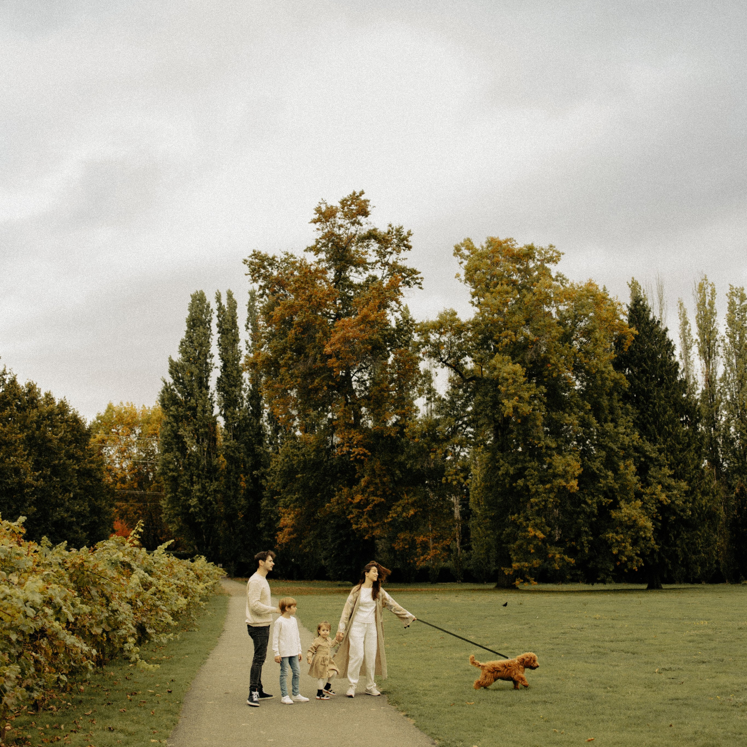 Отзывы. Professional photographer in Minnesota, Alina Volkova