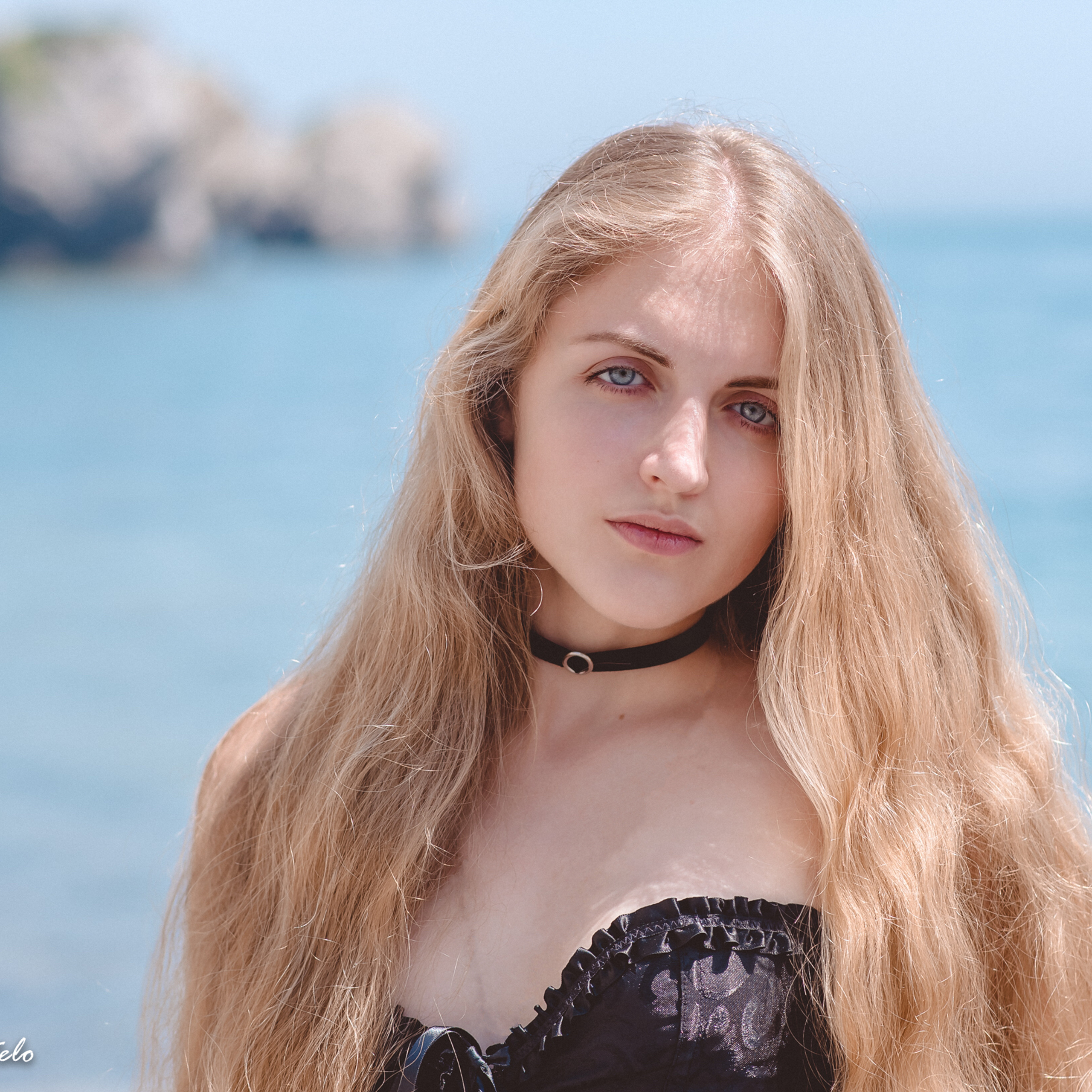 Comentarios. José Sotelo