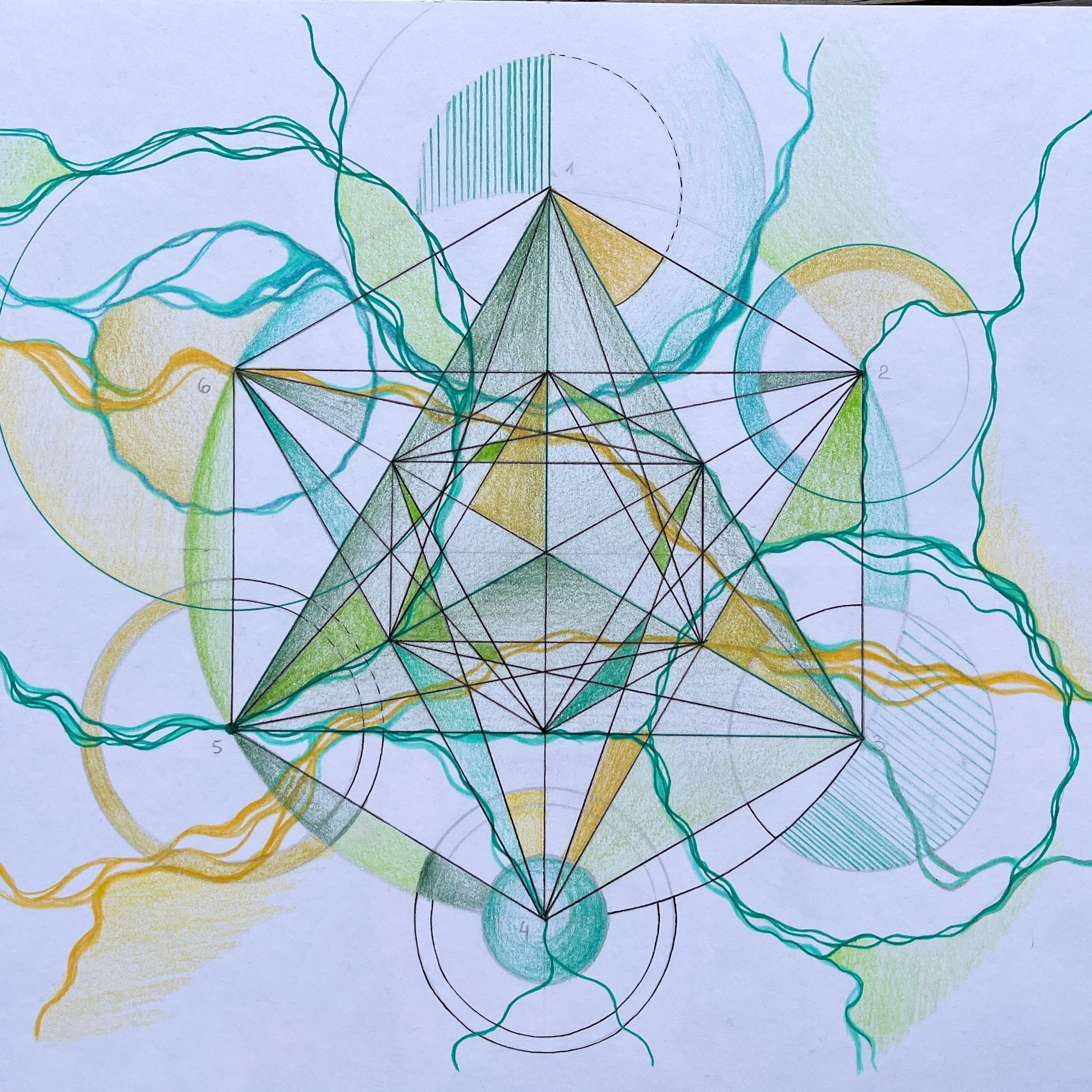 Moje slike. Numerologija. Nevrografika. Delavnice