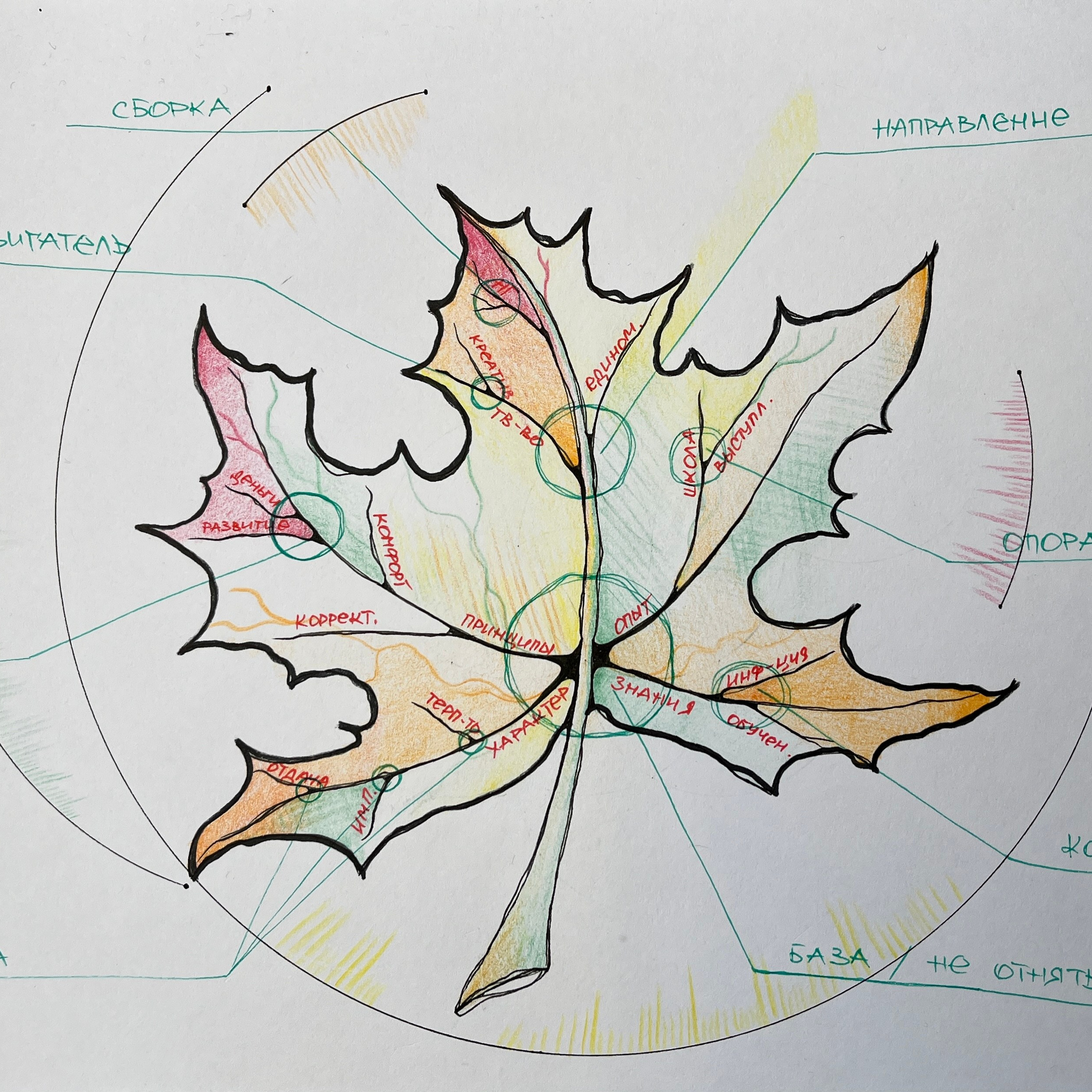 Moje slike. Numerologija. Nevrografika. Delavnice