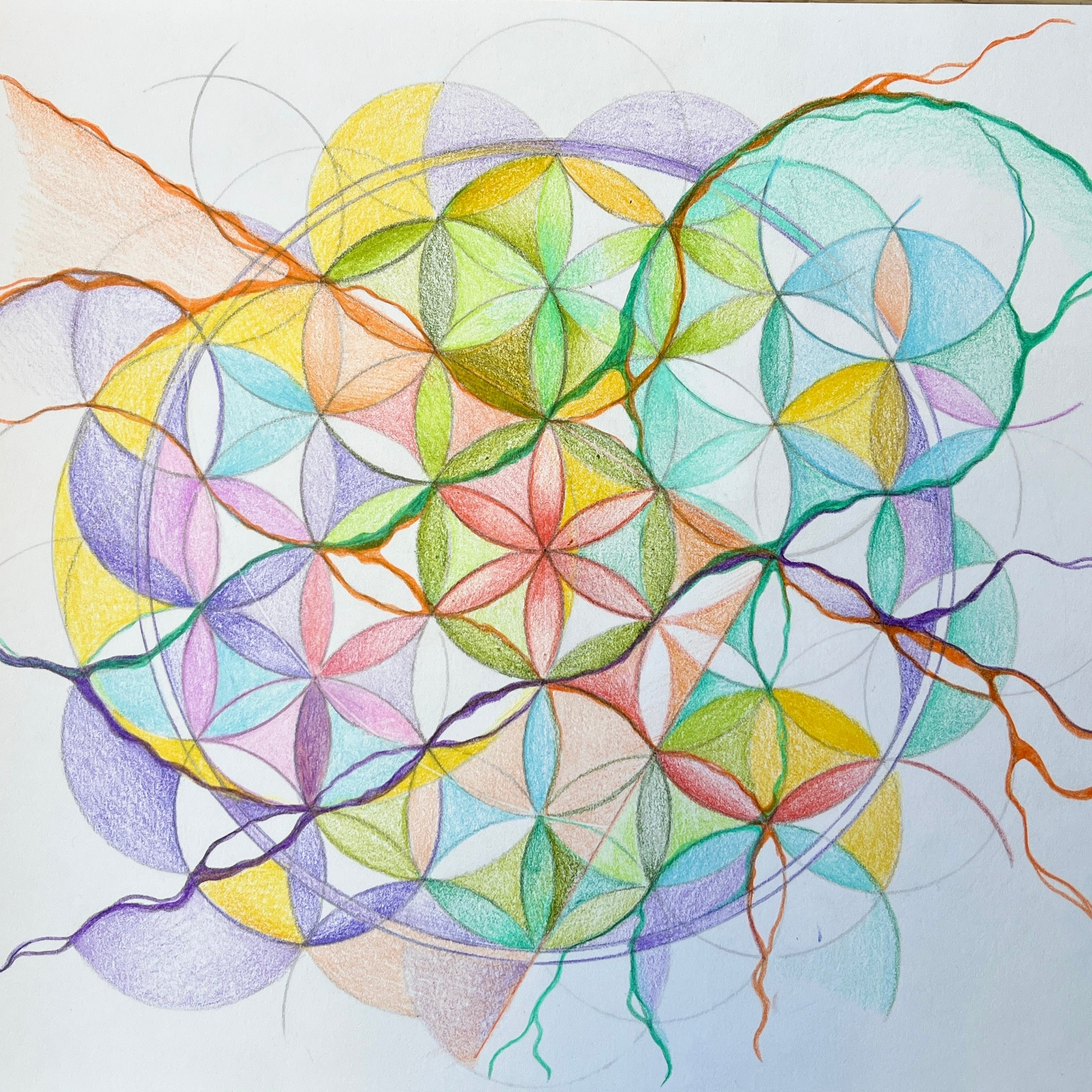 Moje slike. Numerologija. Nevrografika. Delavnice