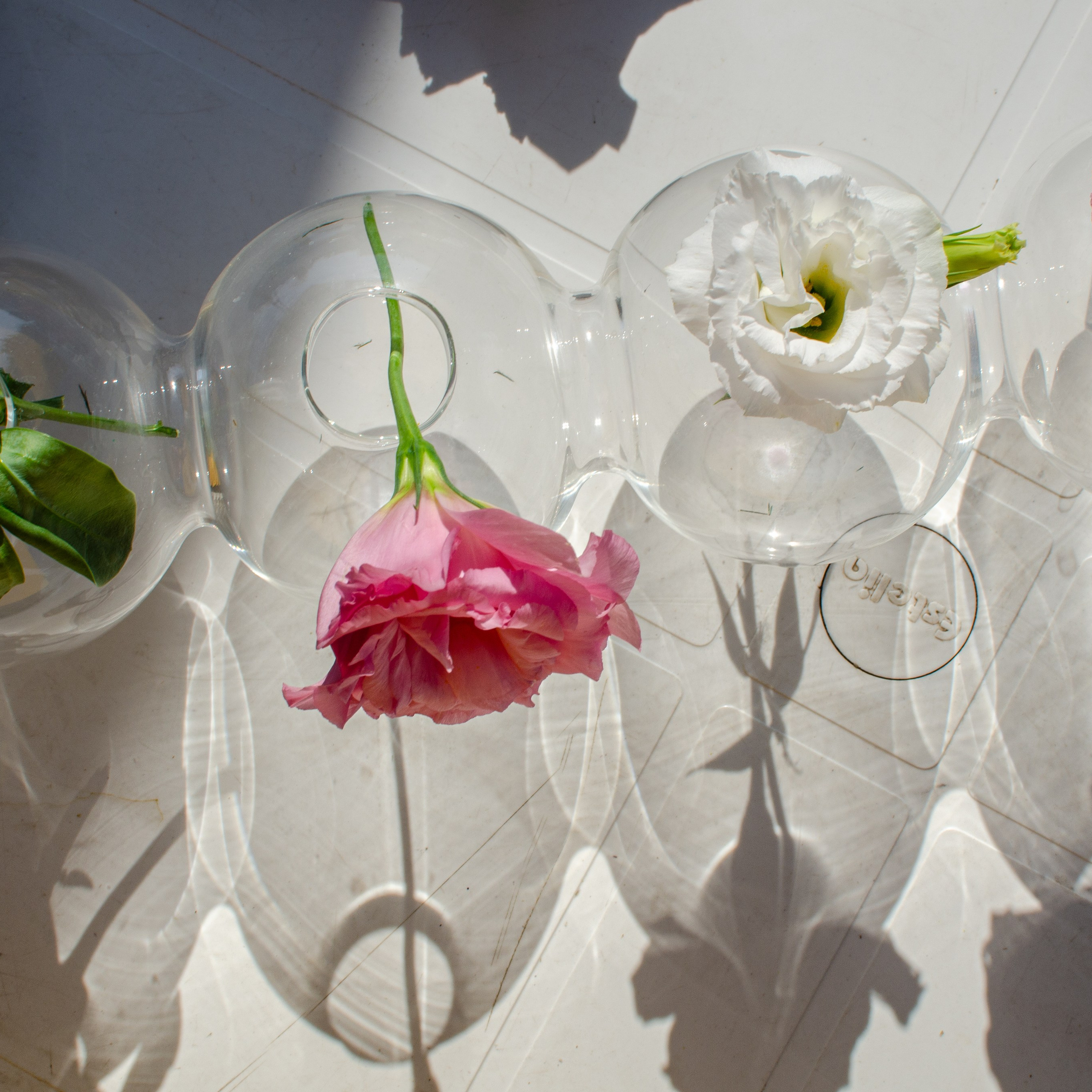 Children's birthdays