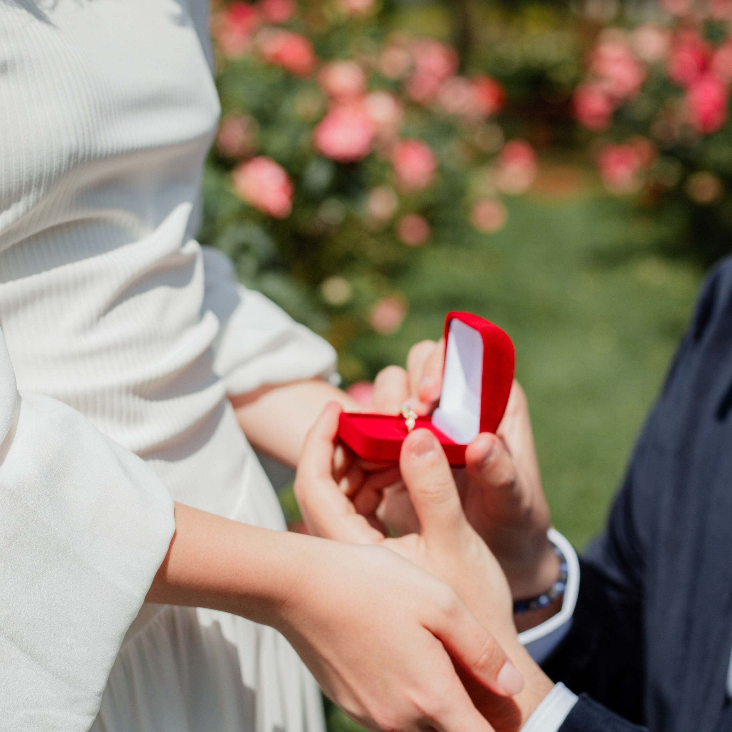 Pedido de Casamento /Bloemen Park