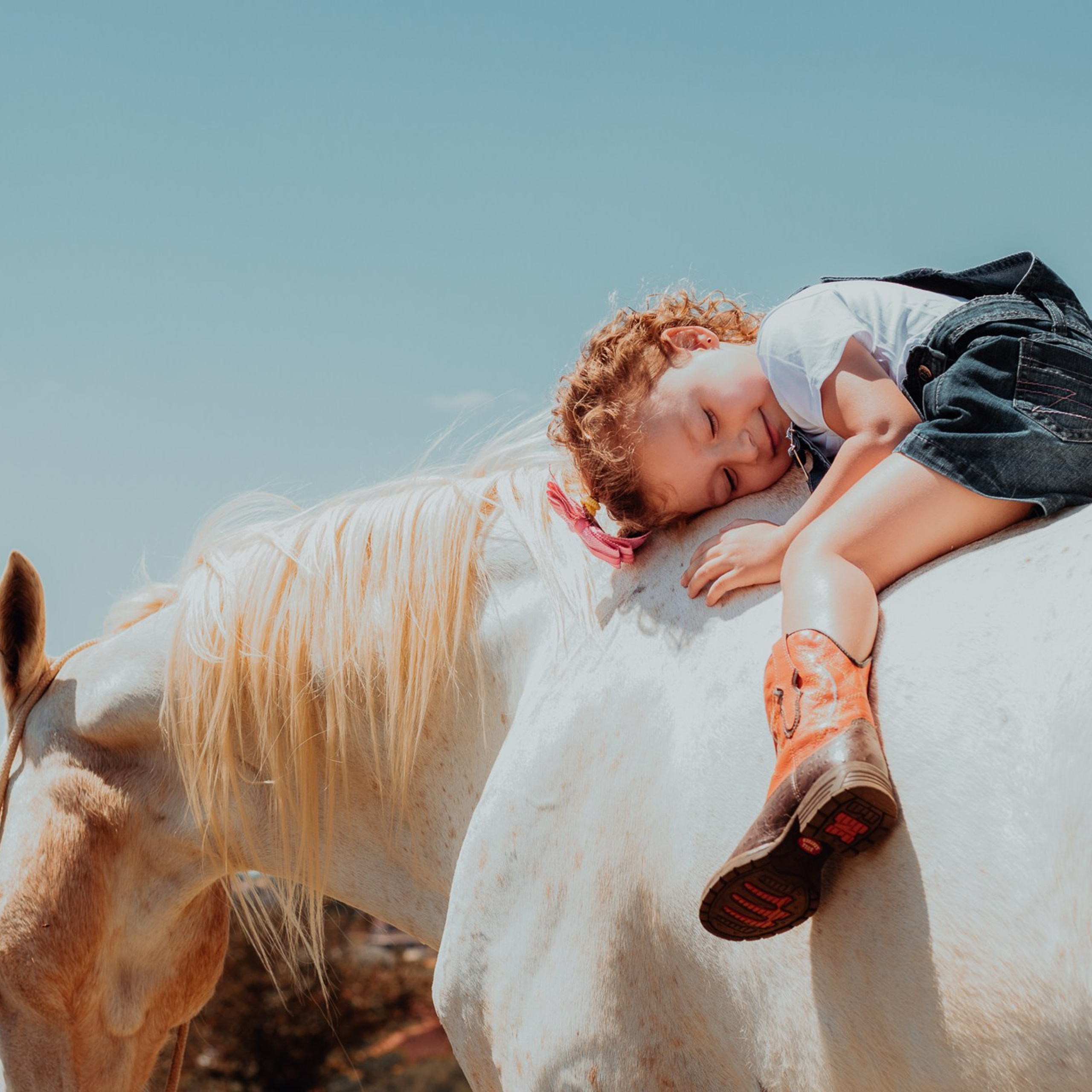 Ensaio de Família e Infantil em Holambra | Joyce Maria Fotografia. Joyce Maria Fotografia | Fotógrafa em Holambra