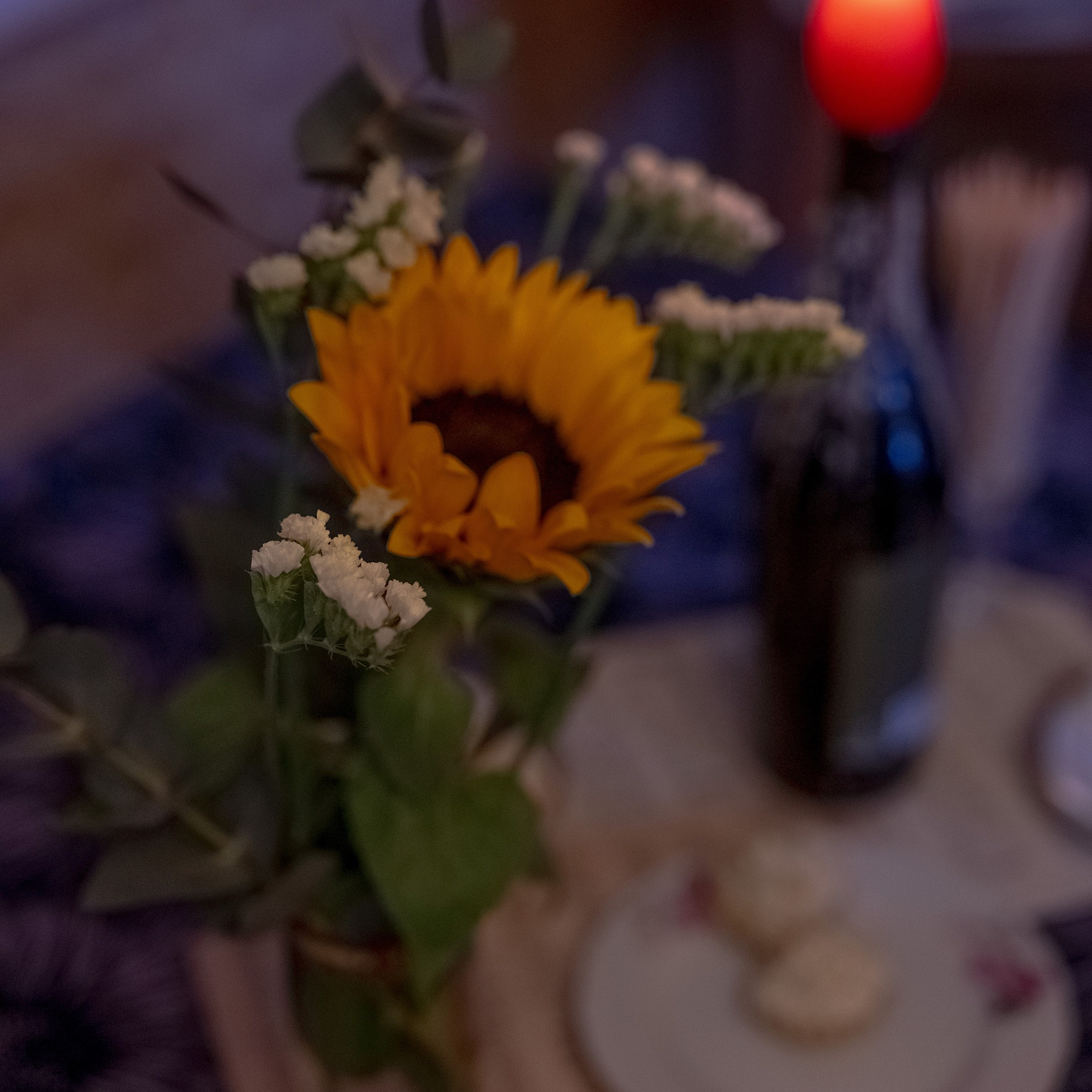 фотограф в Грузии @helenartphoto