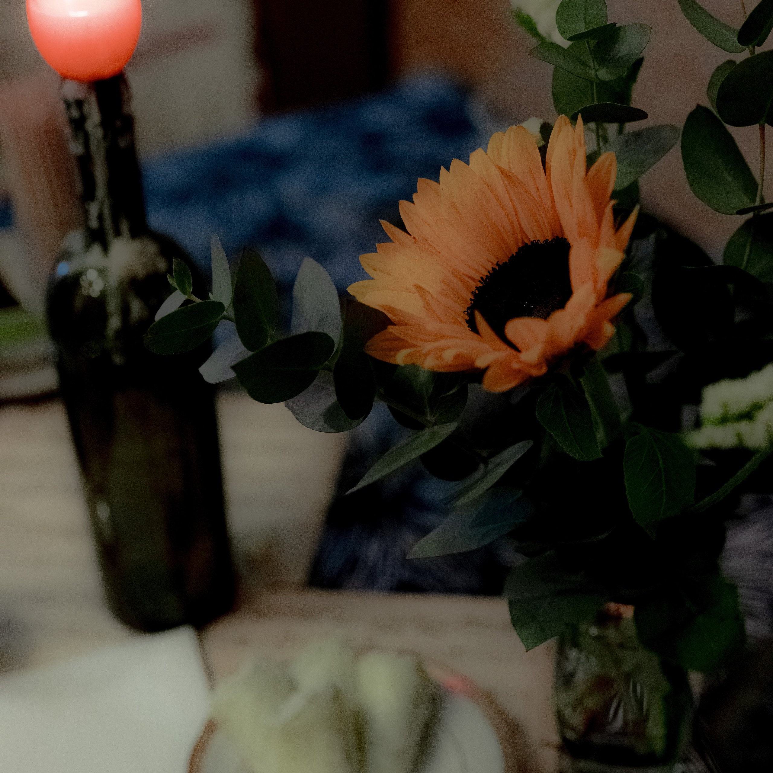 Вы не поверите…. Art Photographer