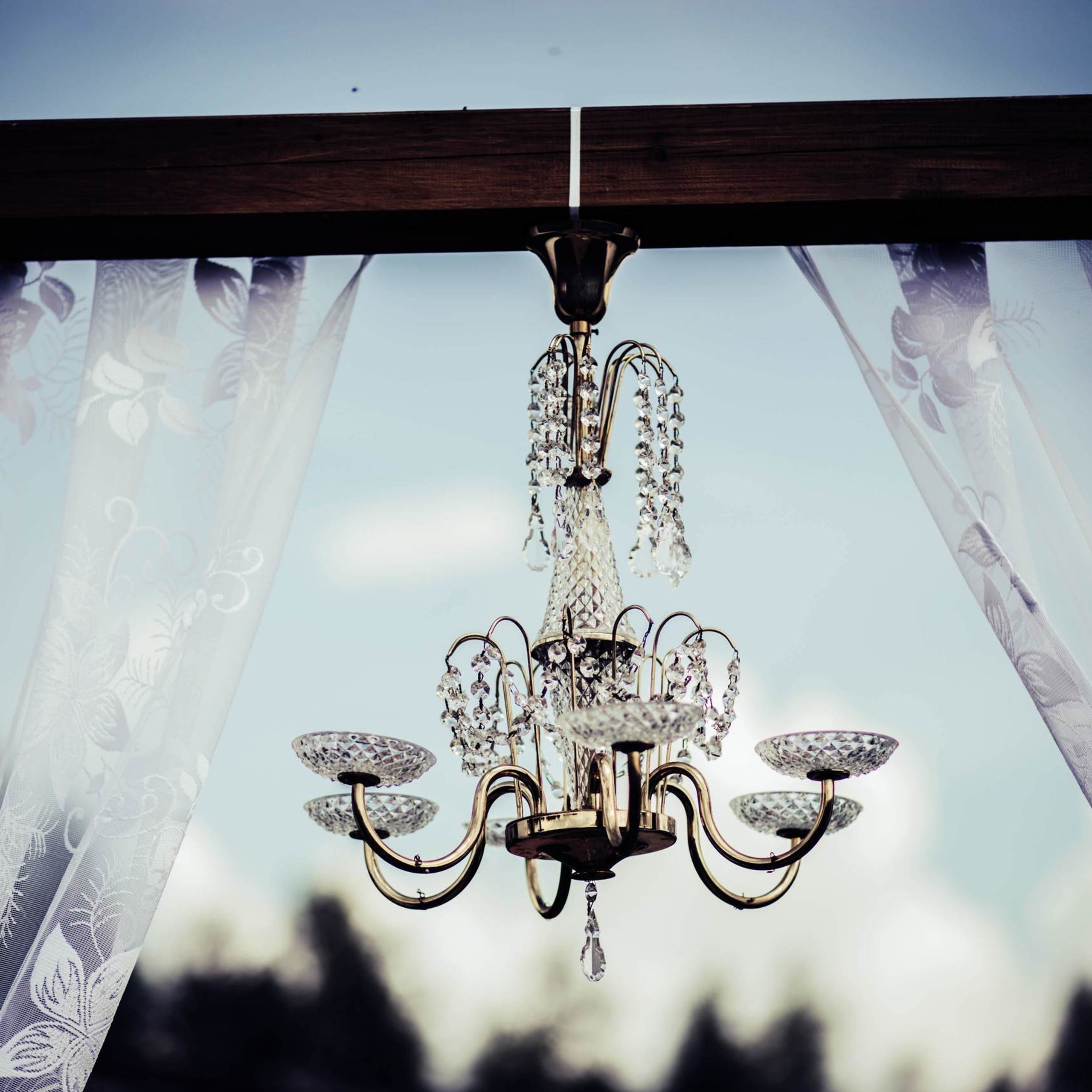 dekor rent welcome foto zona фото зона декор аренда 