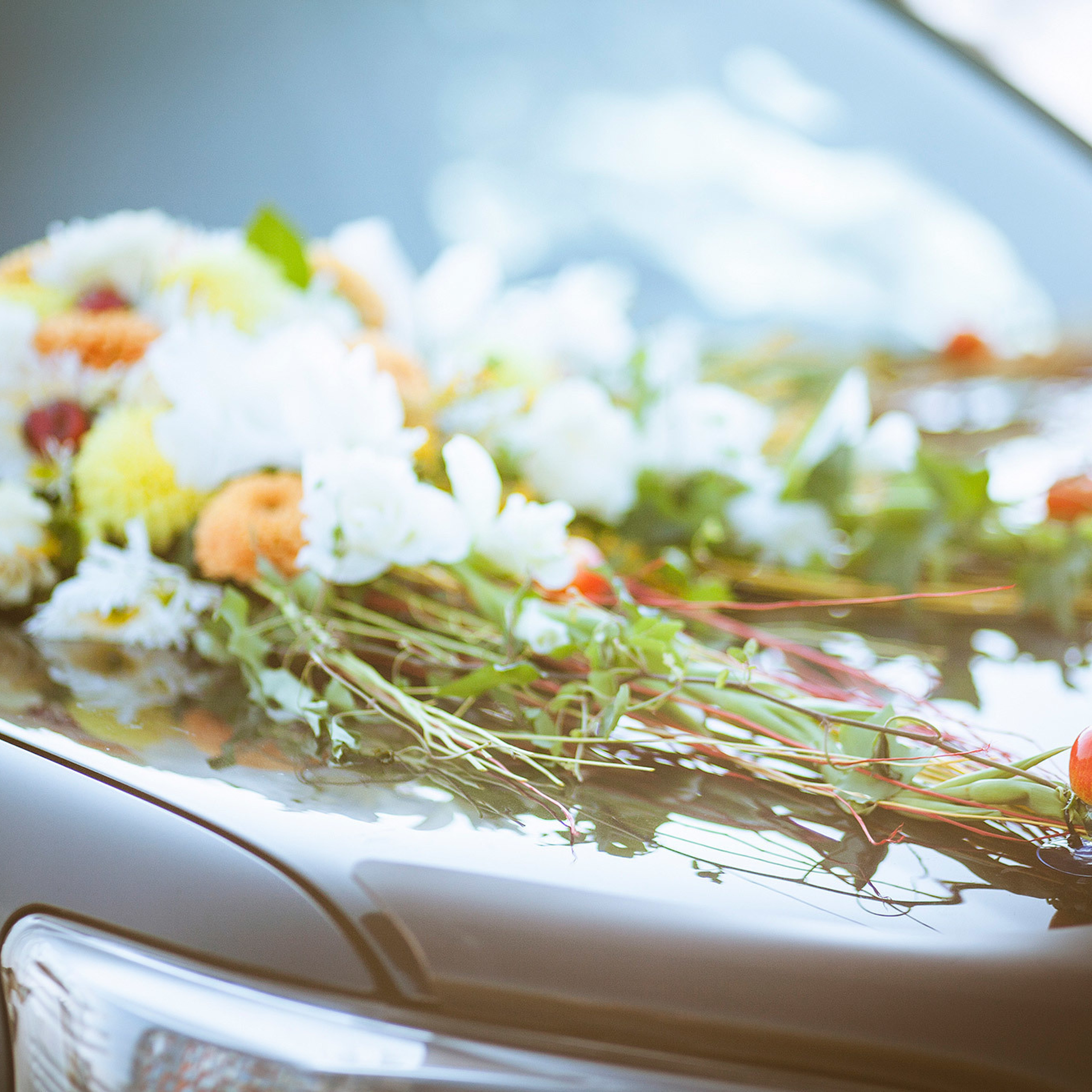 Оформление свадебной машины
Оформление свадебного авто
Декор на машину
Композиция на машину
Mašīna dekors
Kāzu auto