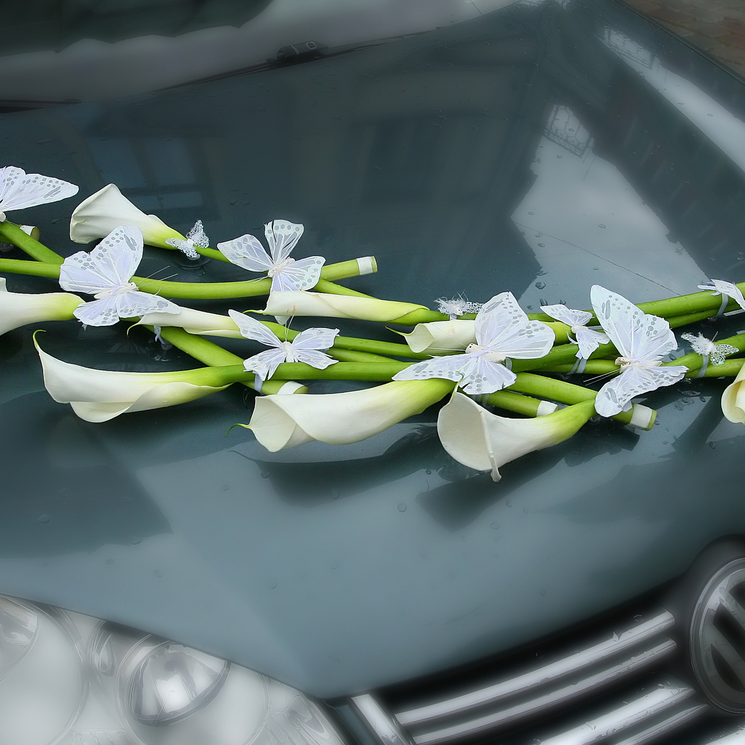 Оформление свадебной машины
Оформление свадебного авто
Декор на машину
Композиция на машину
Mašīna dekors
Kāzu auto