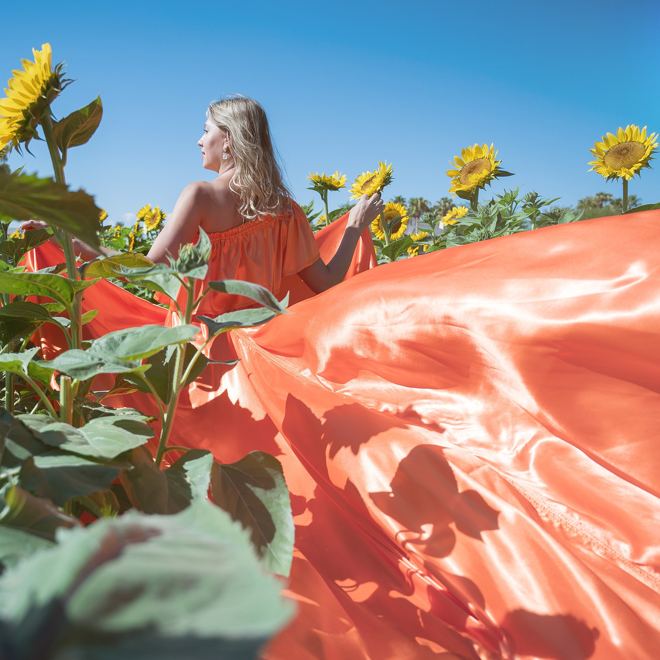 Testimonials. Creative photographer in Las Vegas