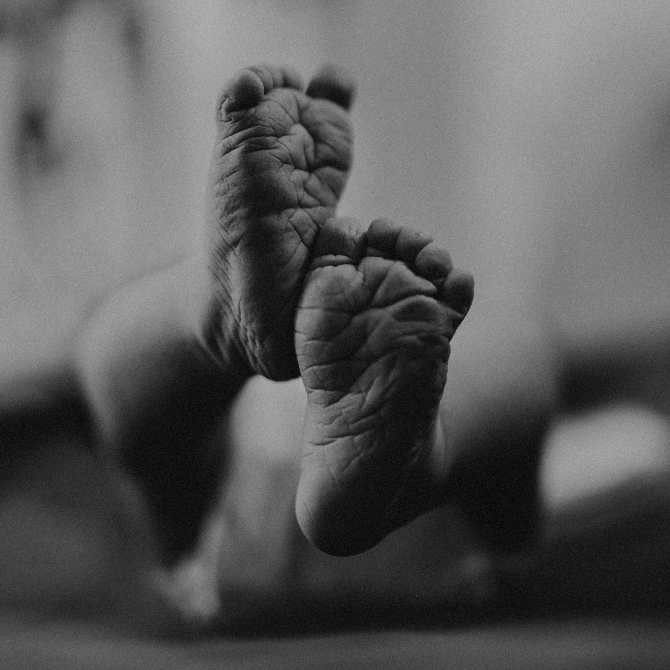 A historia do Rafael. Fotografa documental de familia e nascimento em Florianópolis SC Daria Ermolaev