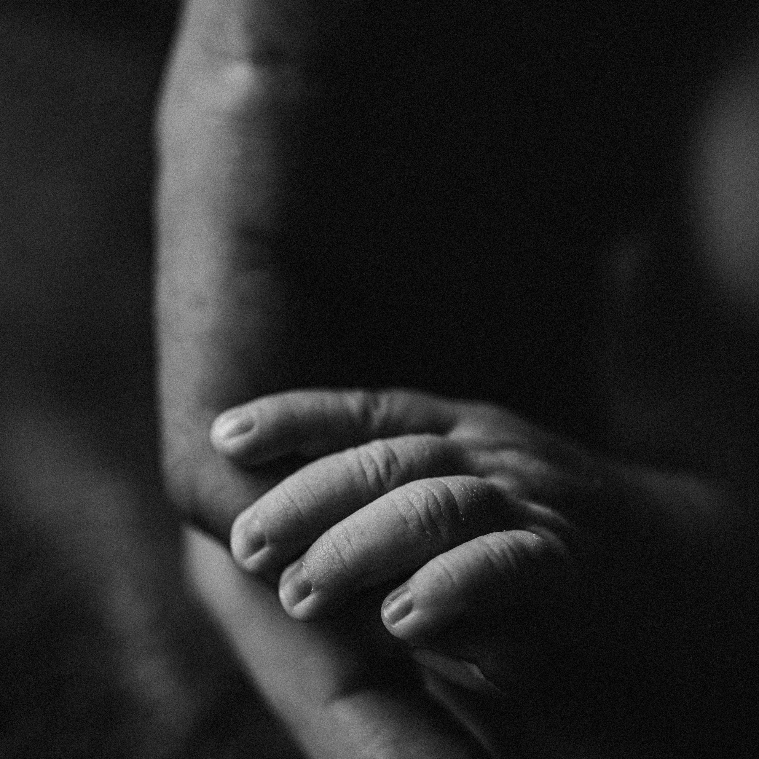 Luna’s Birth. Fotografa de família e crianças em Florianópolis SC Daria Ermolaev