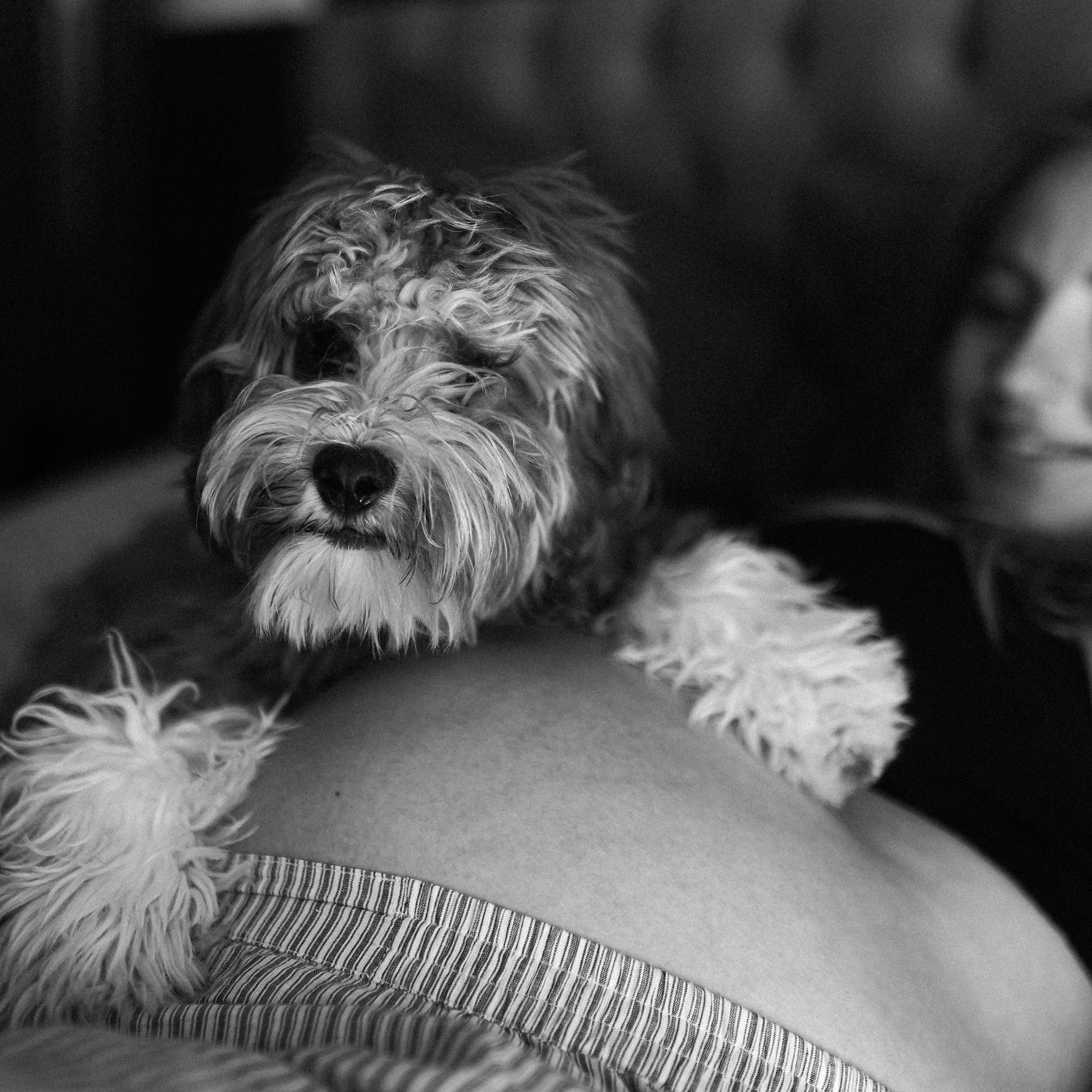 A historia do Rafael. Fotografa documental de familia e nascimento em Florianópolis SC Daria Ermolaev