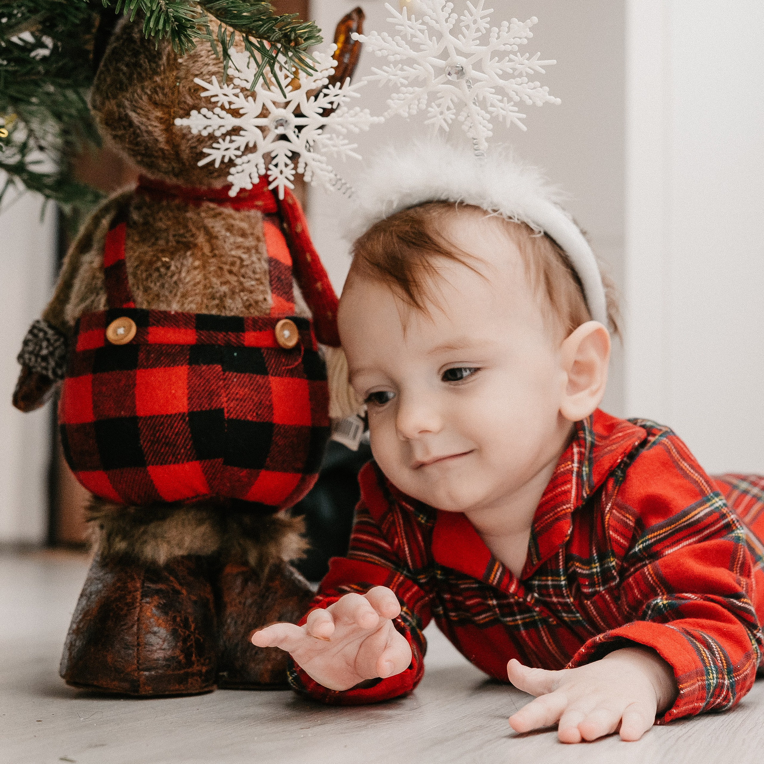 Ducuții — Christmas Session