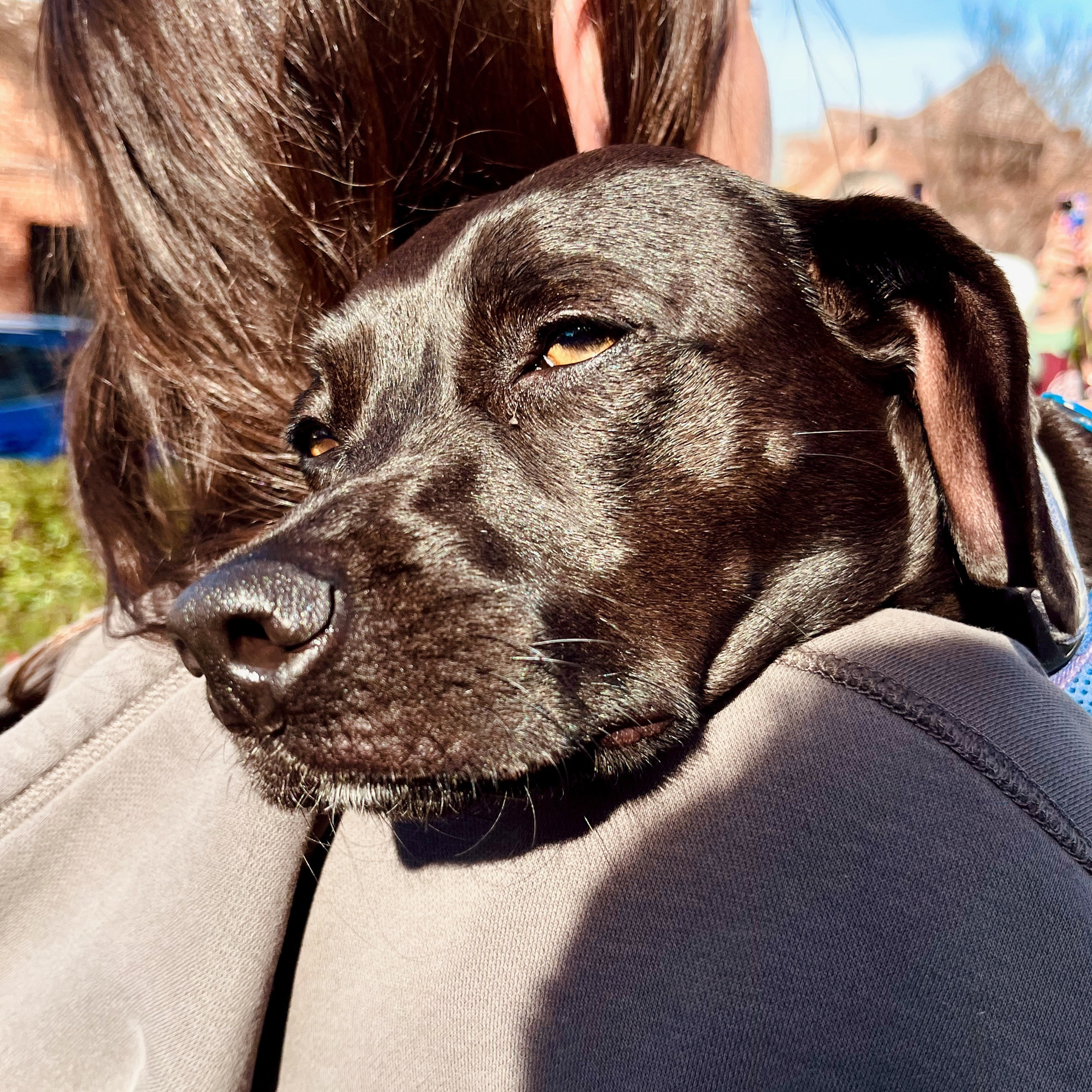 A Walk for Peace. Sonny Photos