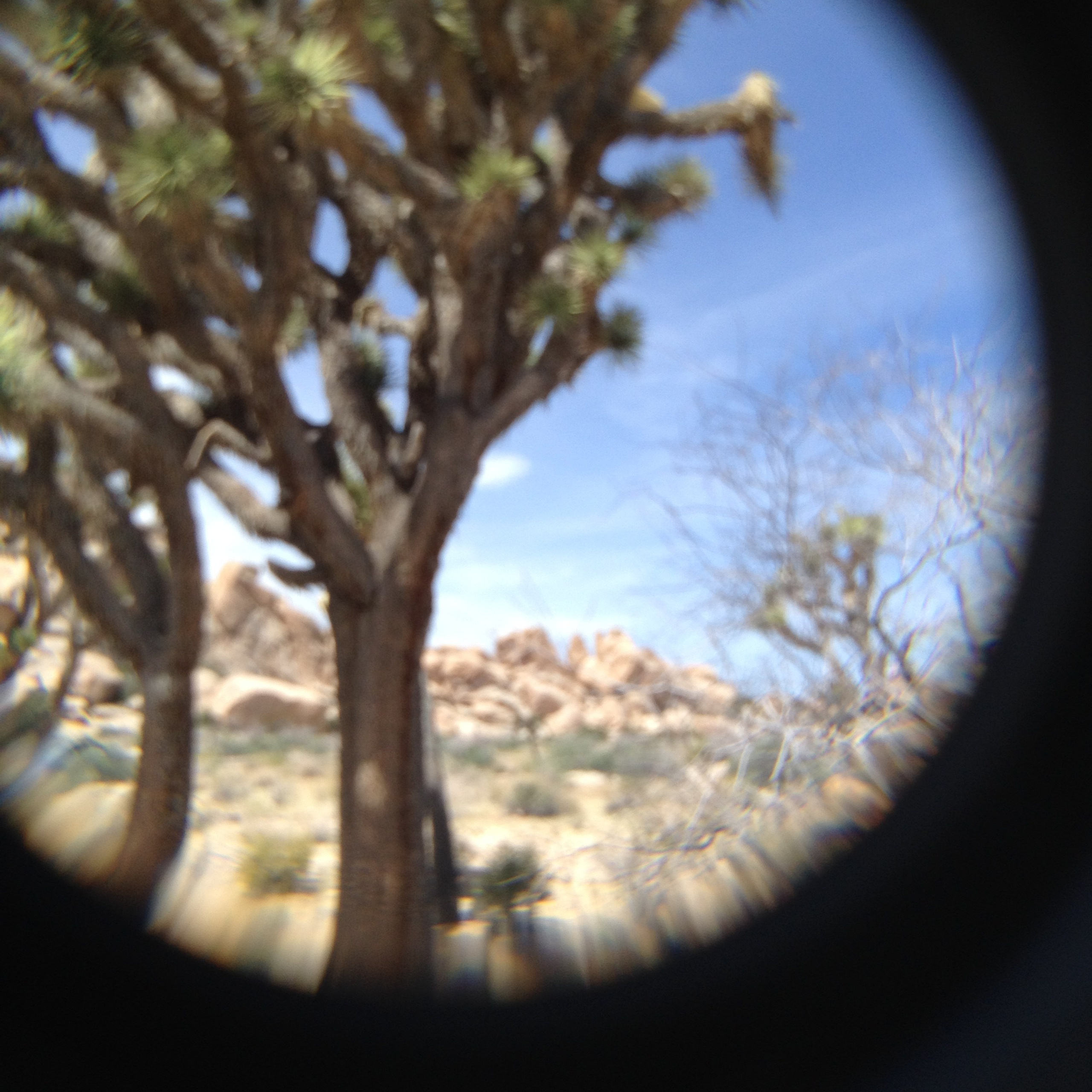 Look — A Photography Journey Learning to See. Sonny Photos