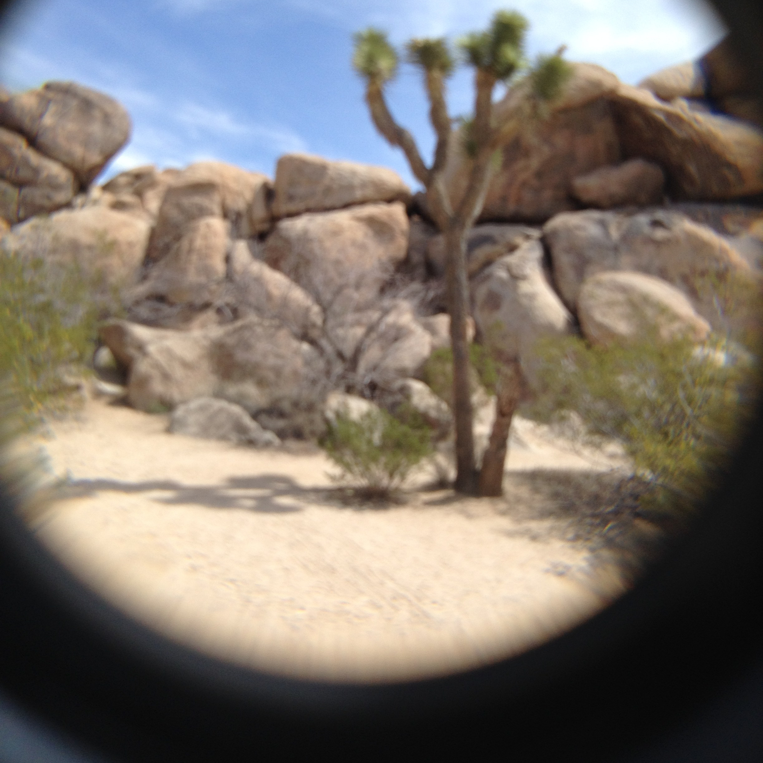 Look — A Photography Journey Learning to See. Sonny Photos