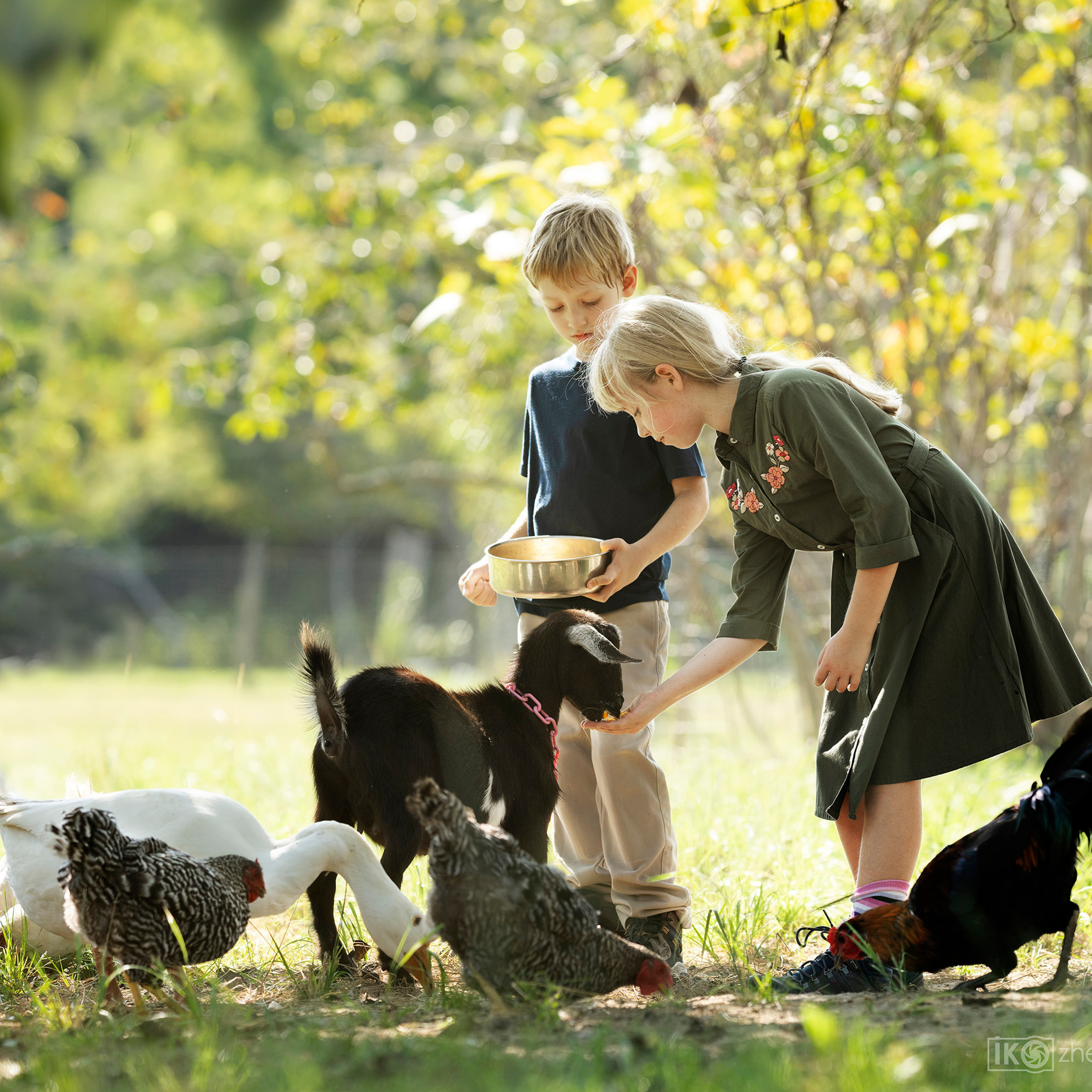 On the farm 09-13-2020