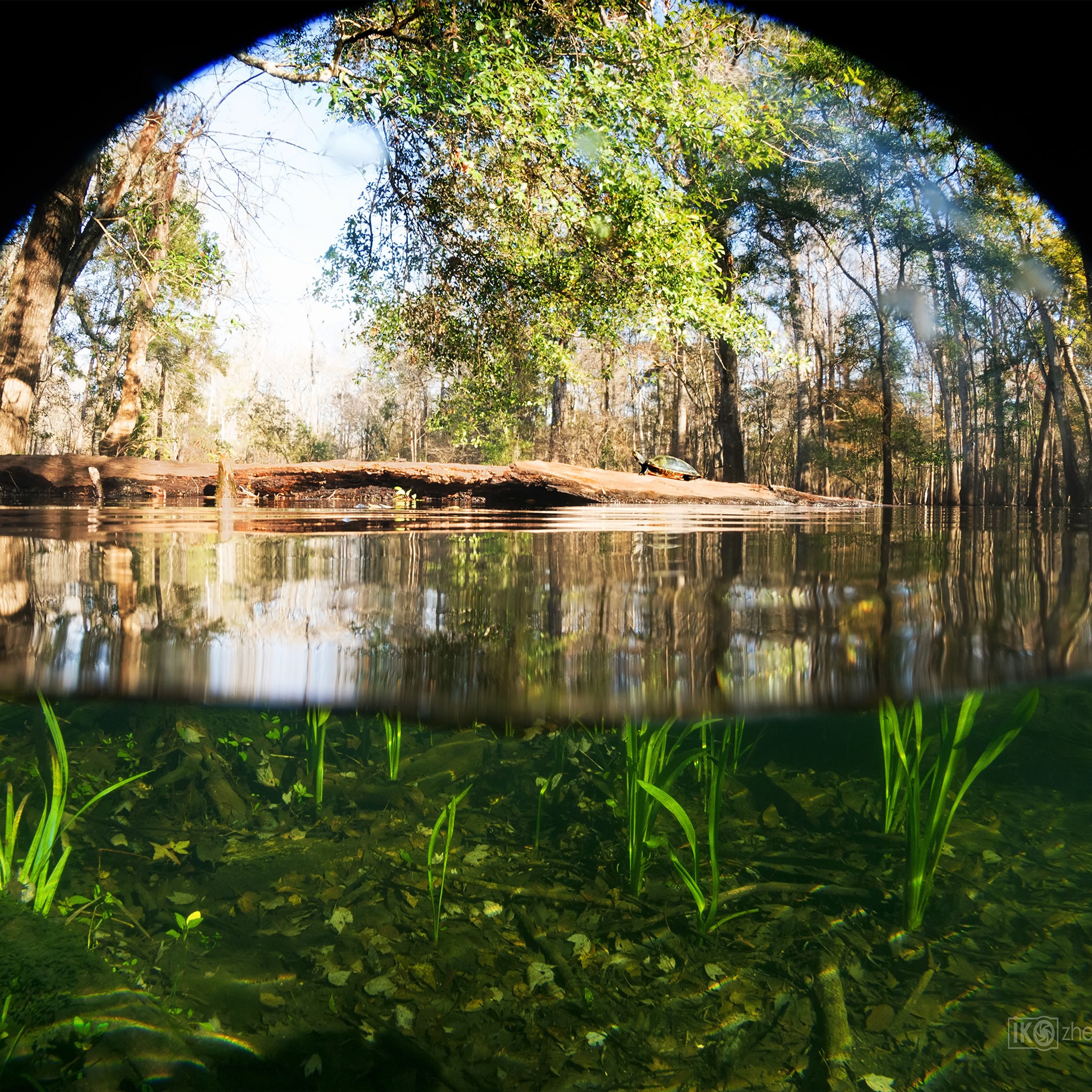 Gilchrist Blue Springs State Park