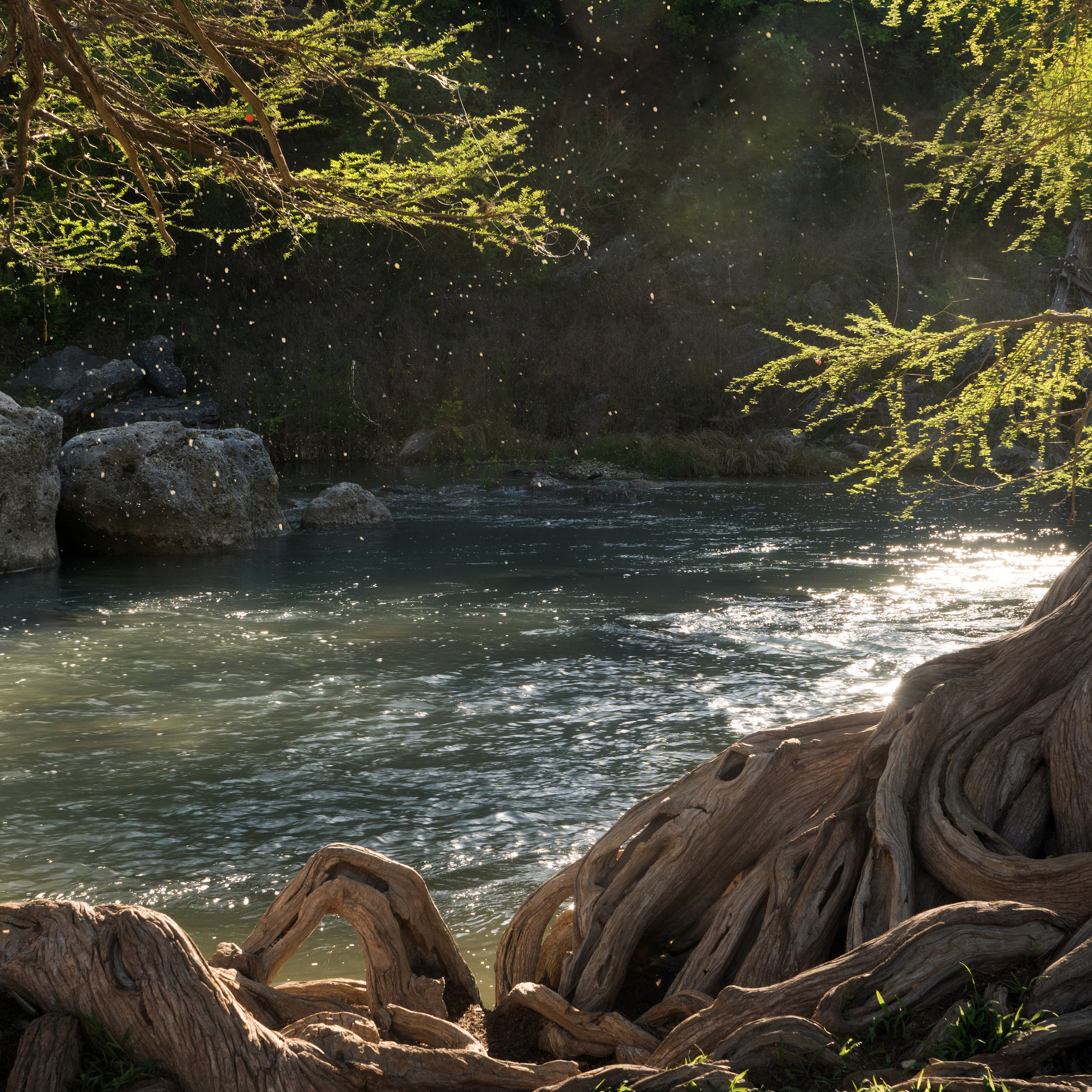 Guadalupe River State Park