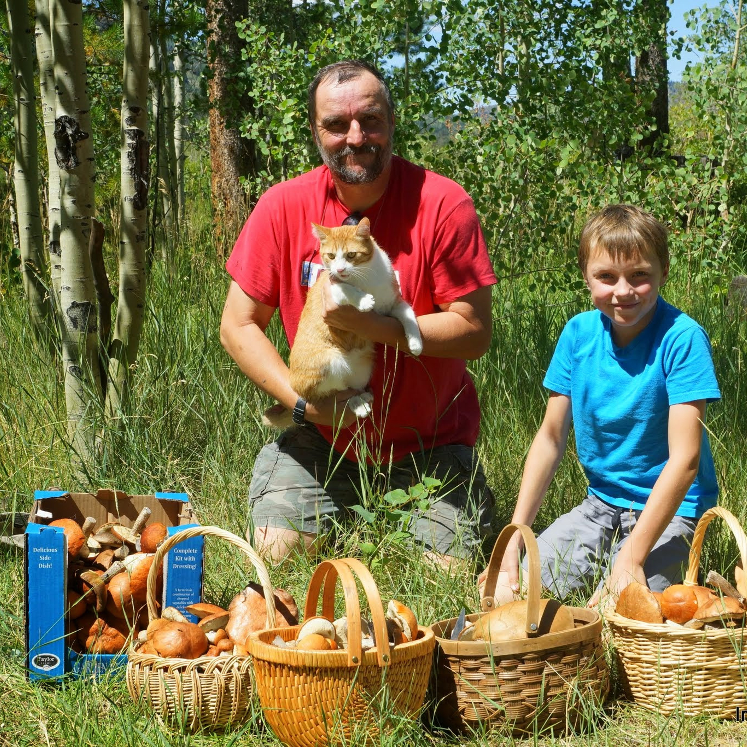 2014-08-10, Mushrooms