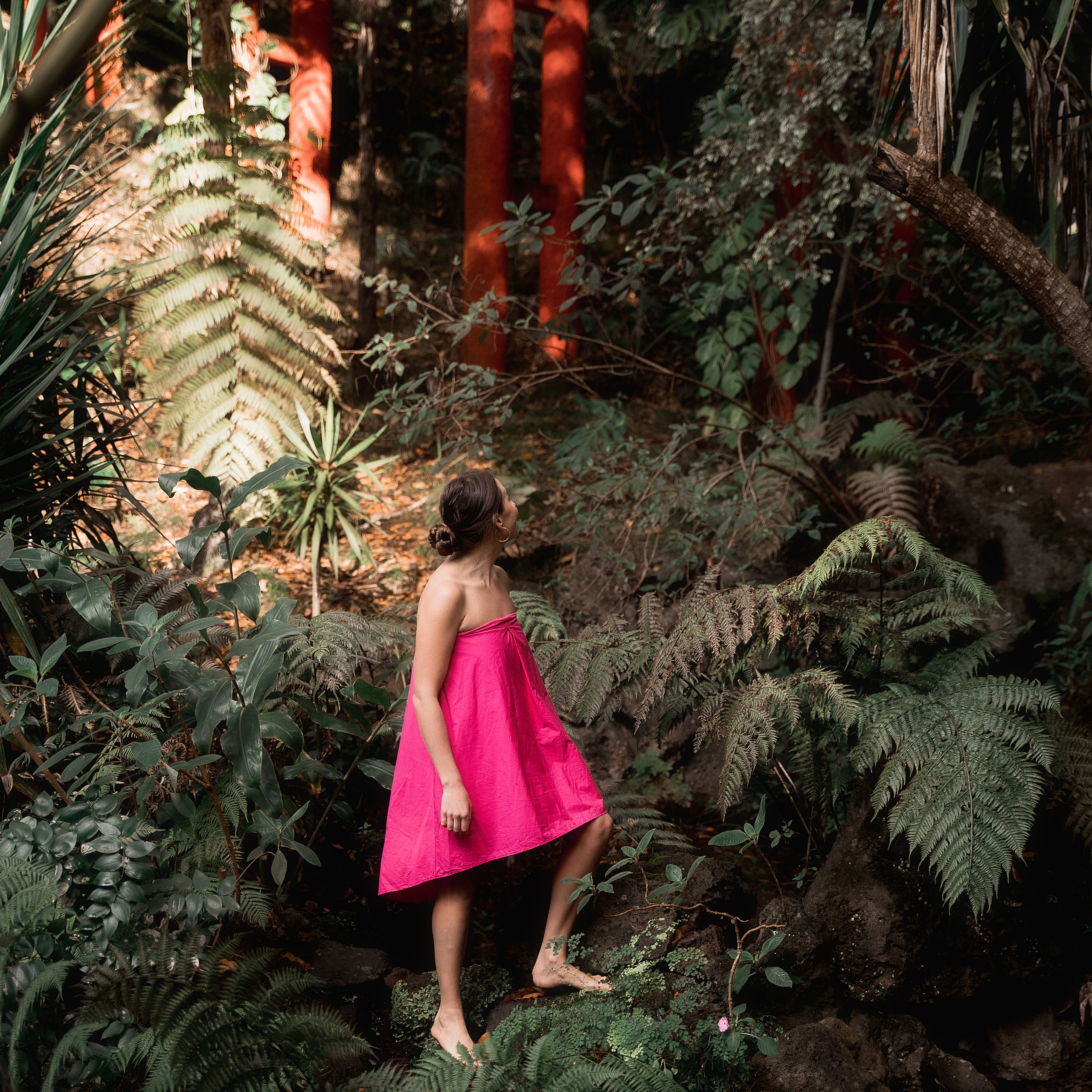 Feedback from my clients. Your photographer in Madeira