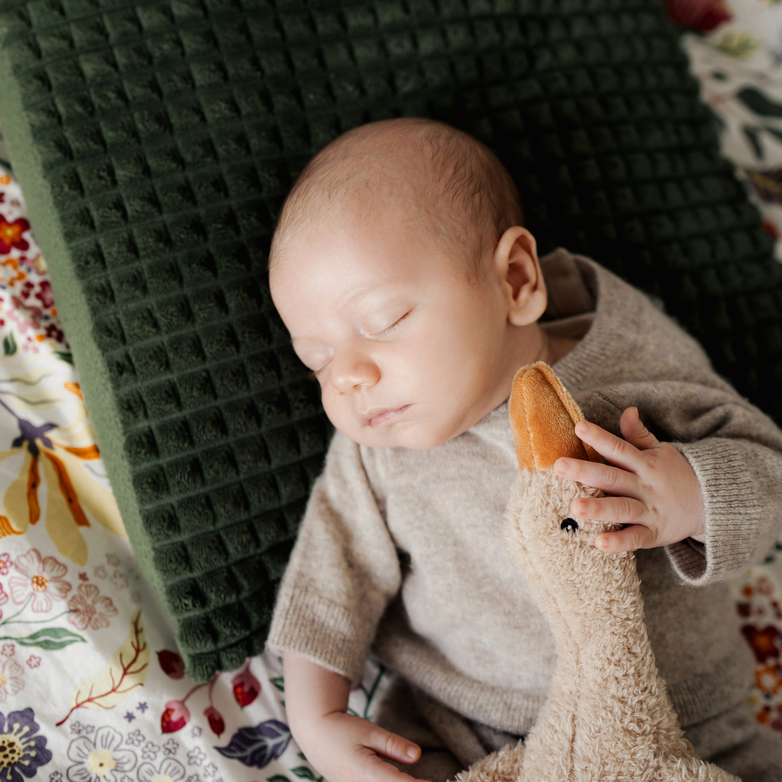 Home story. Bébé Newborn Photographer in Copenhagen