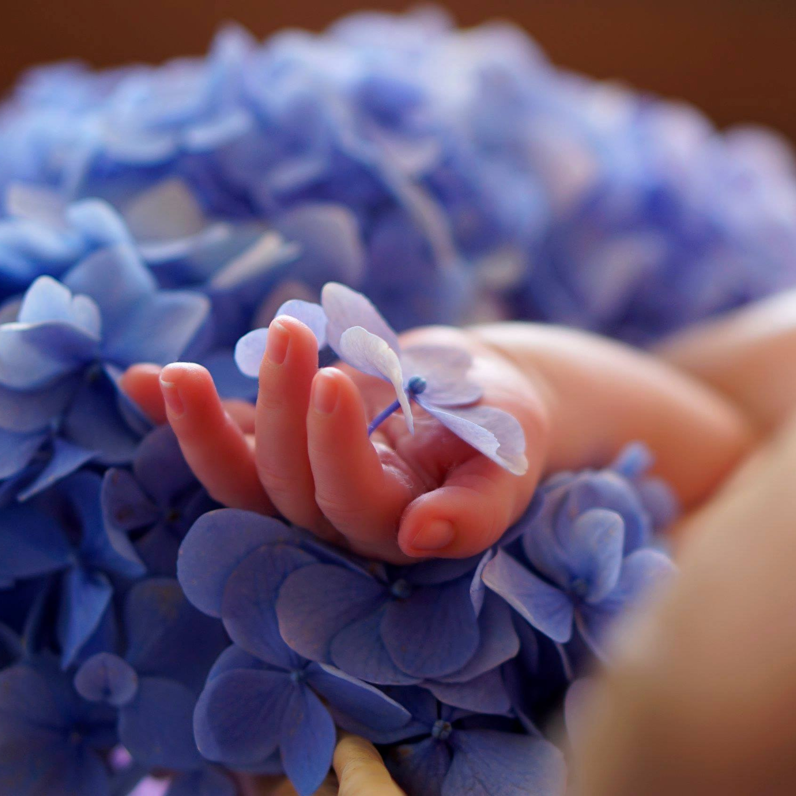 Newborn studio. Bébé Newborn Photographer in Copenhagen