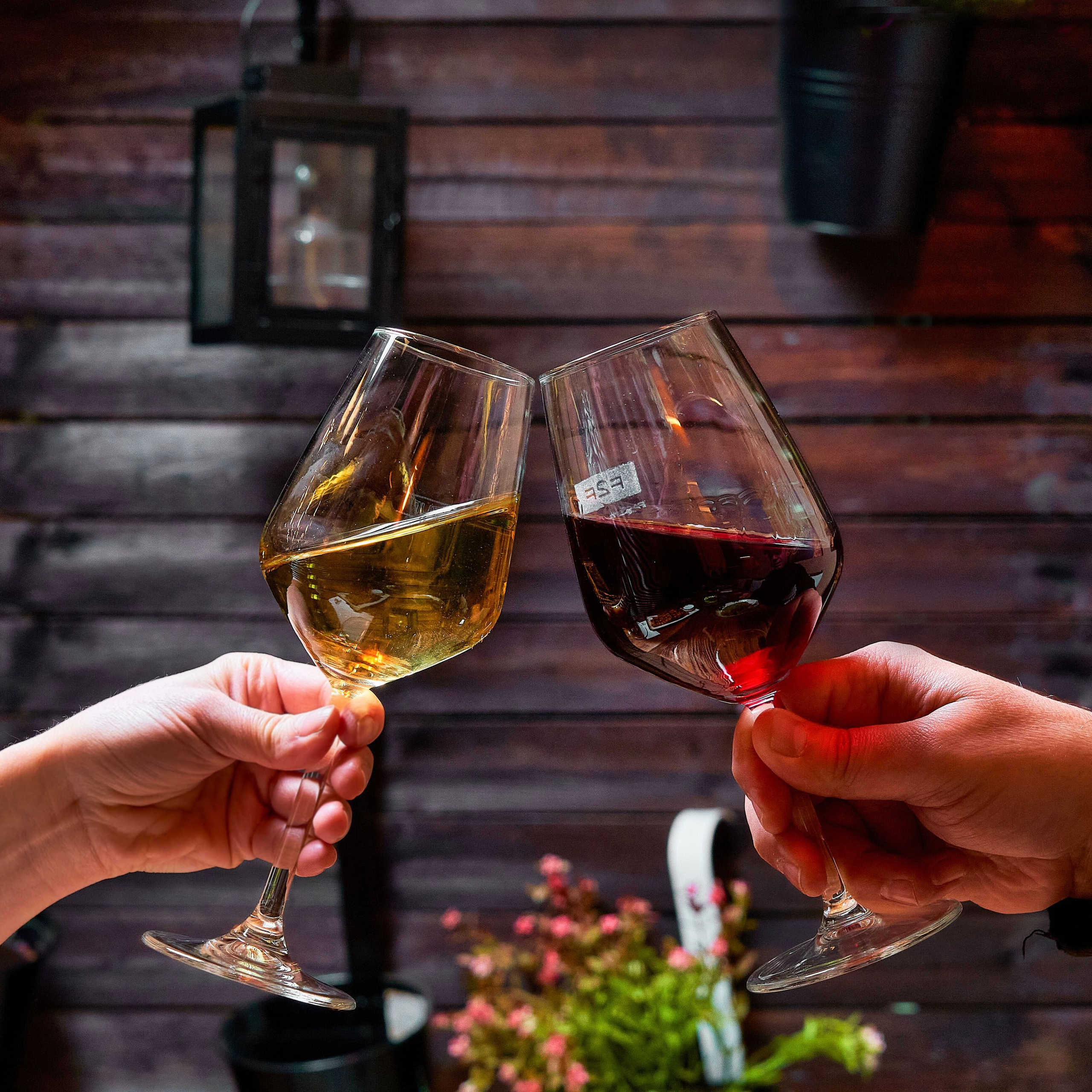 Кулинарна фотография. Фототека