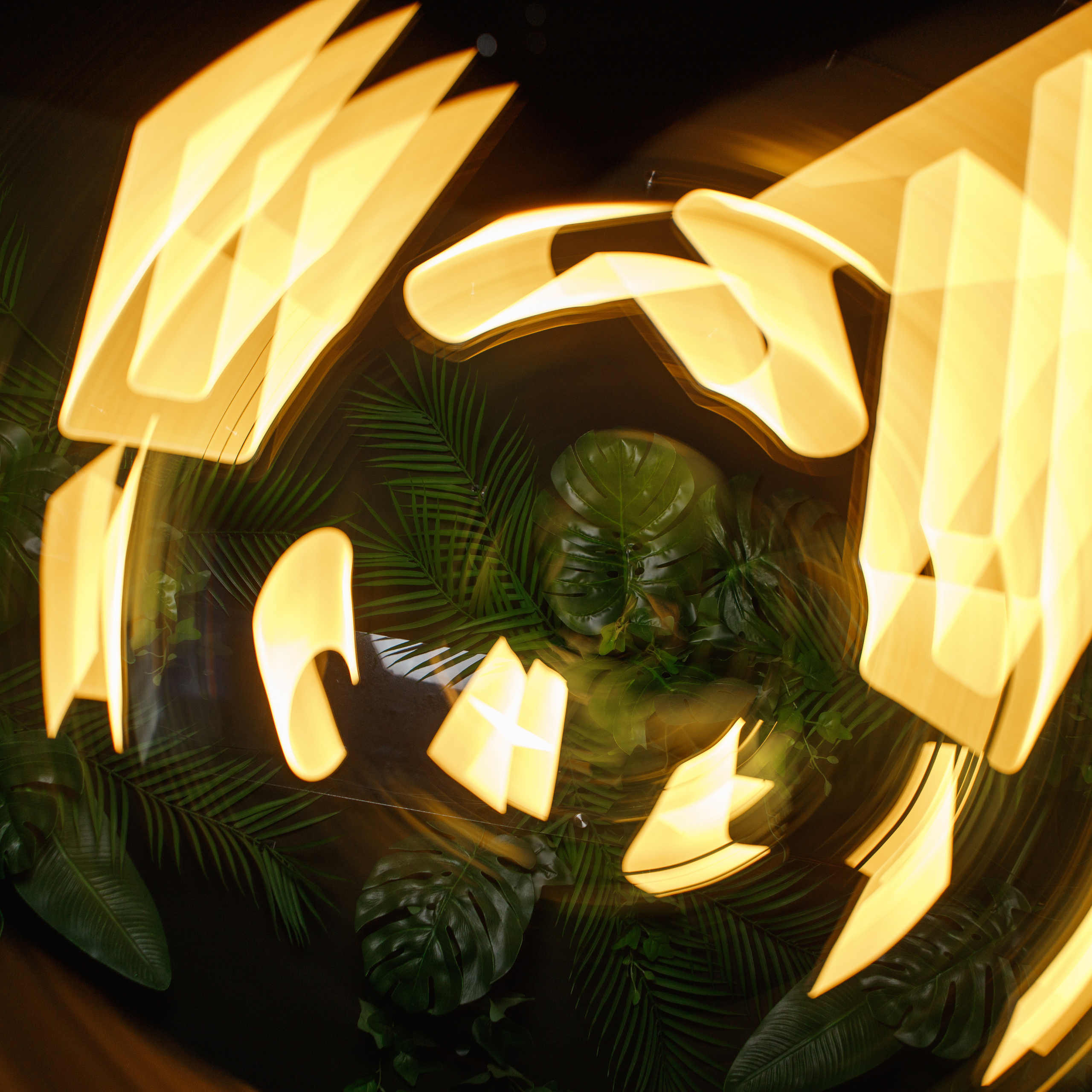 Отзывы. Свадебный и семейный фотограф Жанна Руденко