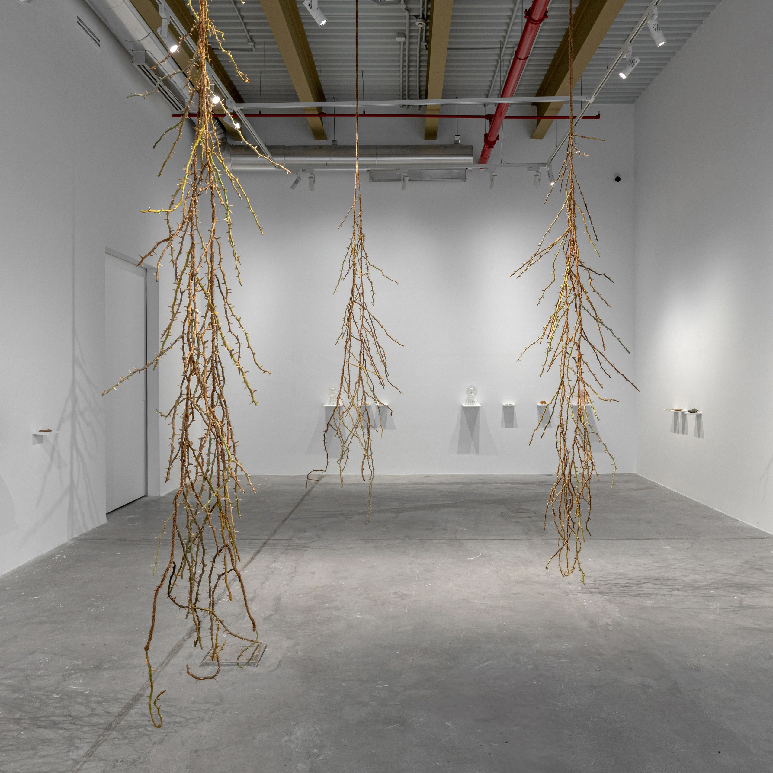 Nika Project Space “Beghost”