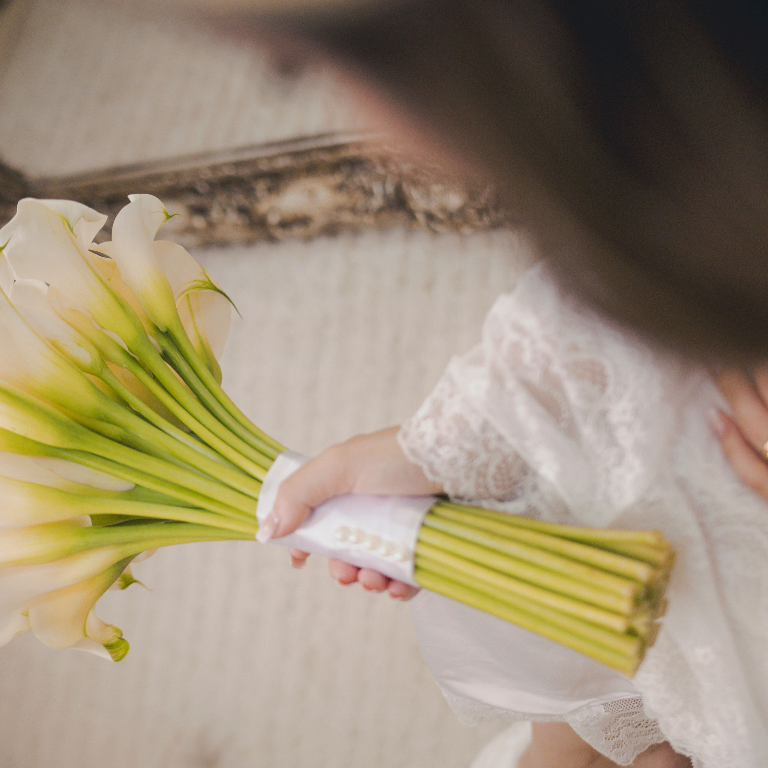 ANA LYVIA E JOÃO VICTOR. Fotógrafos de casamento. empresas, família em Catanduva SP e região, Casal Gonçales