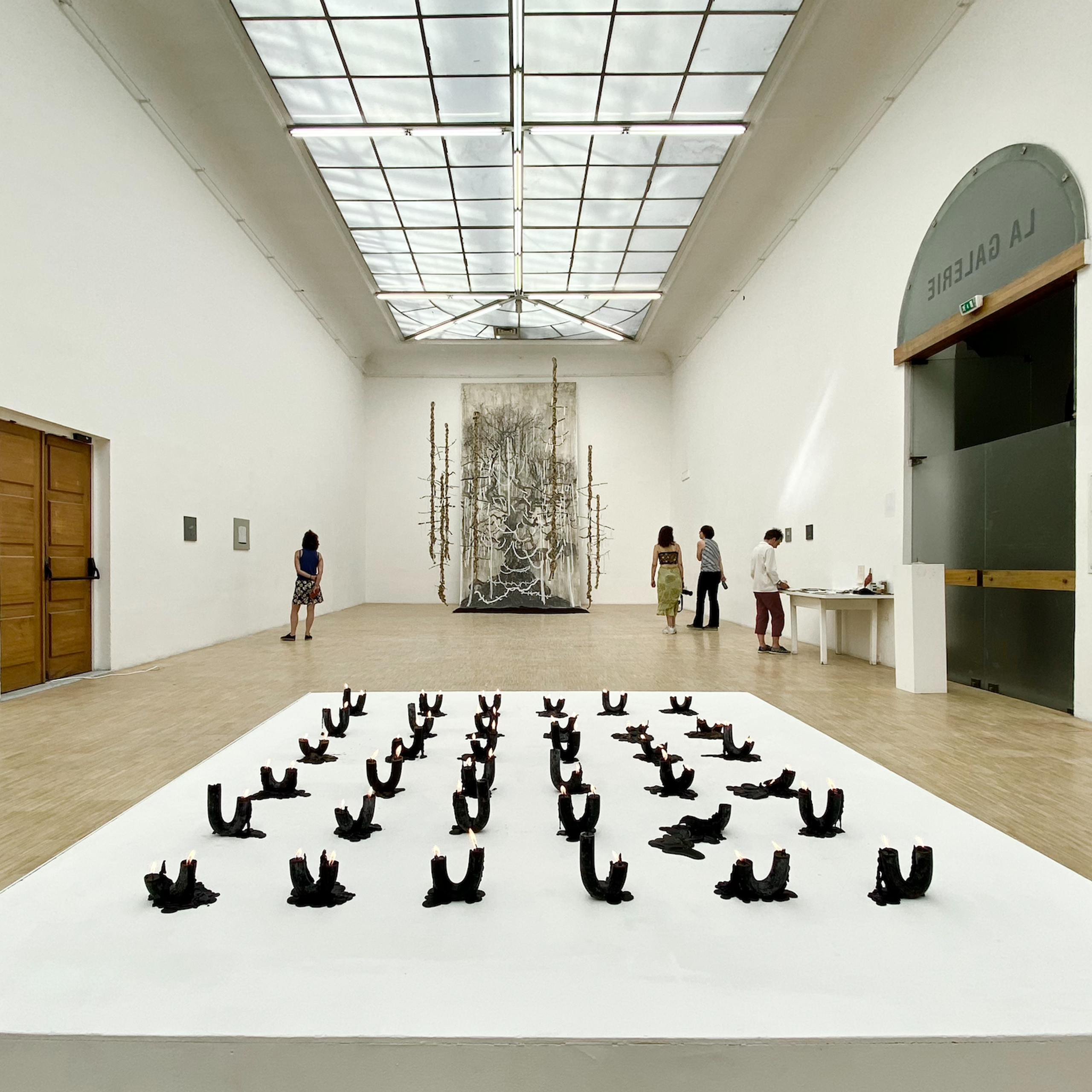 INSTALLATIONS / VIDEO