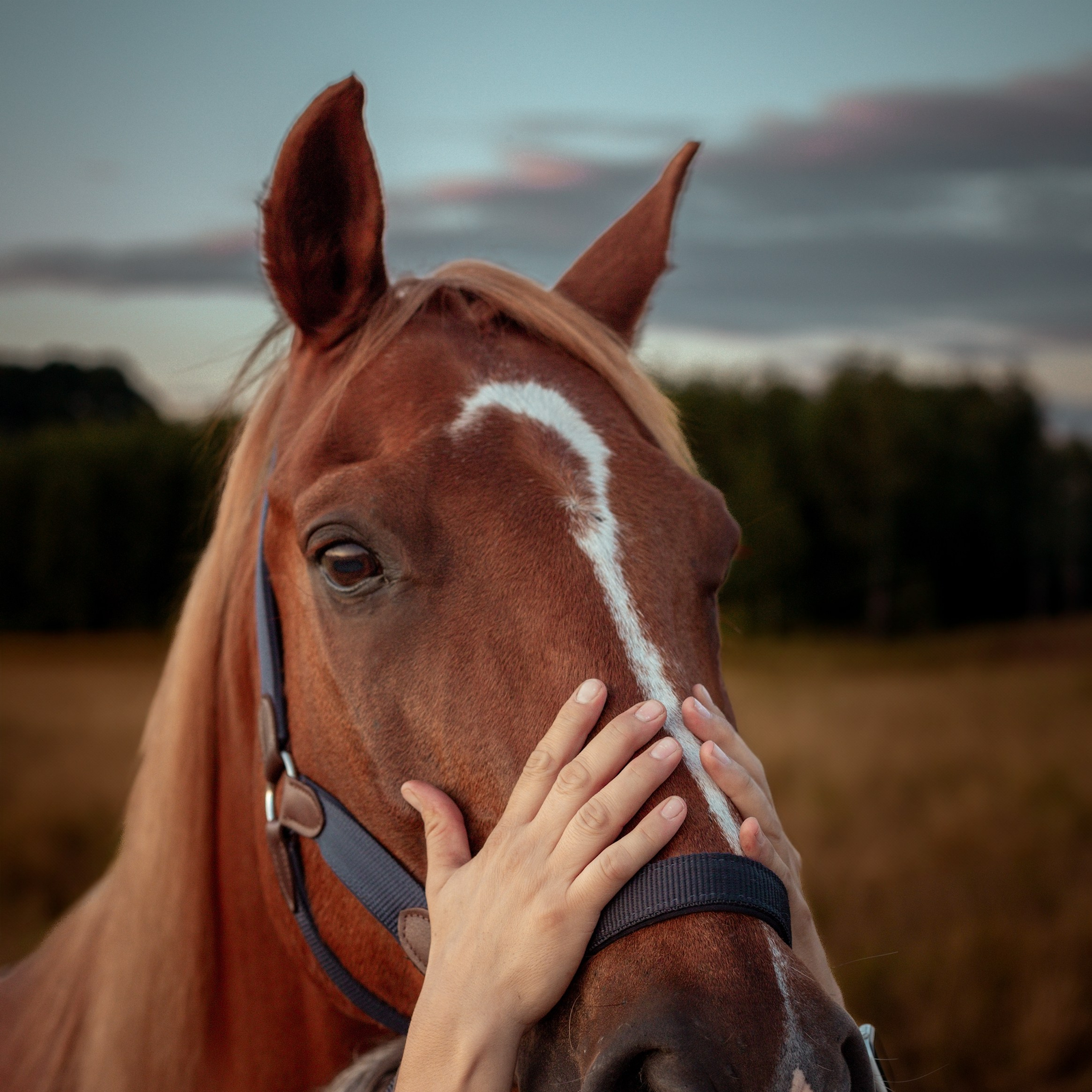 Portrait lovestory photographer Warsaw. Photographer Warsaw