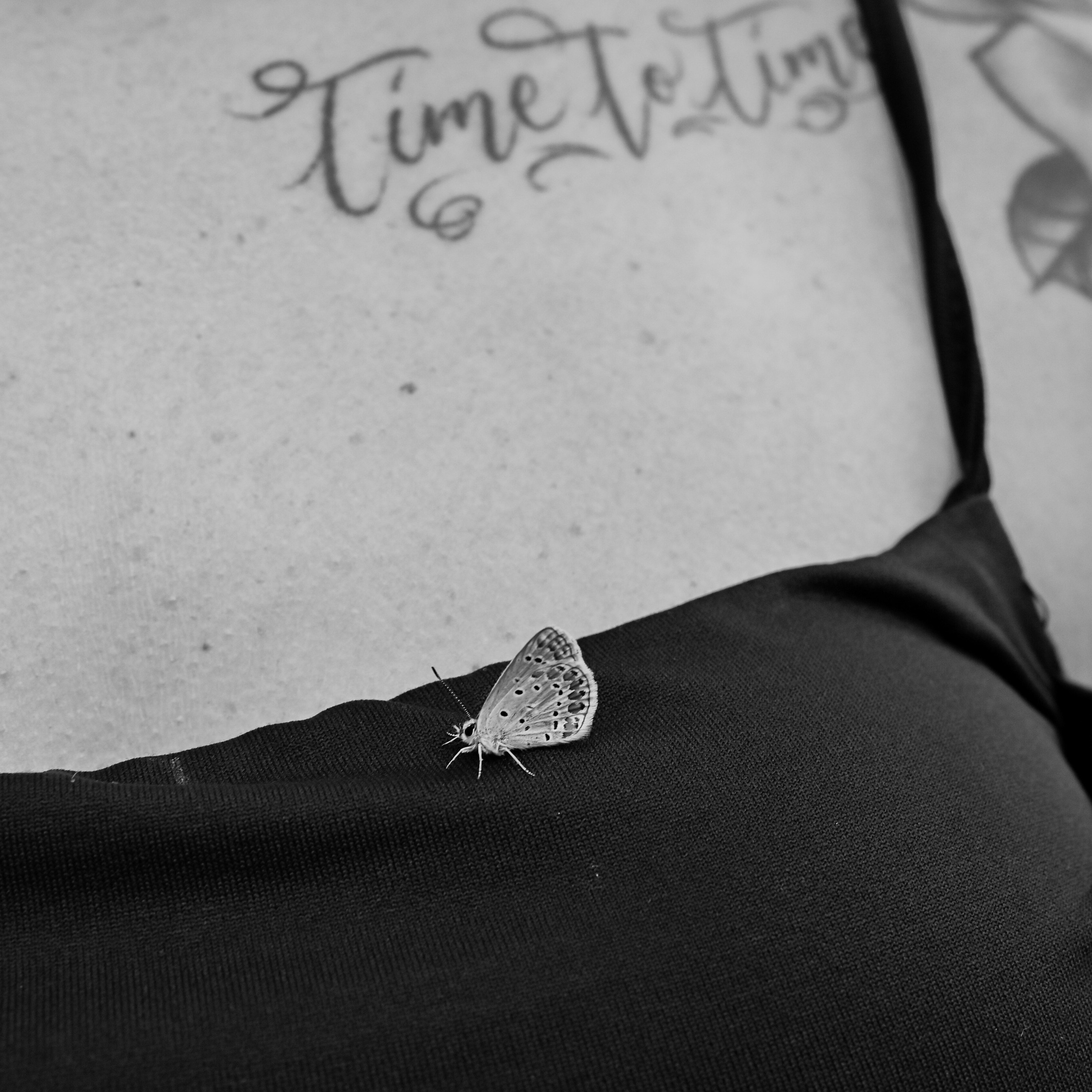 Scatti per far andare l’acqua di&nbsp;traverso all’ex